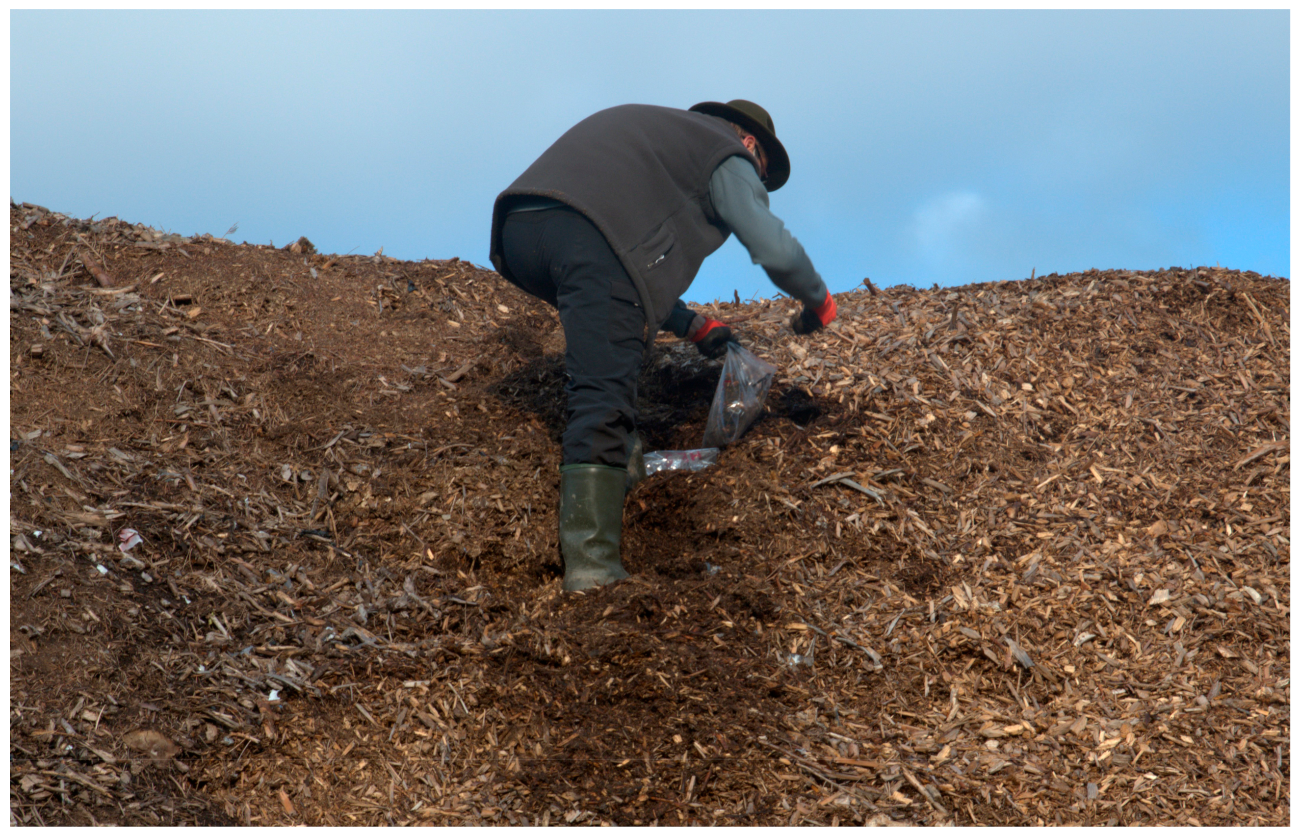 Forests 14 00707 g002 Forests 14 00707 g002