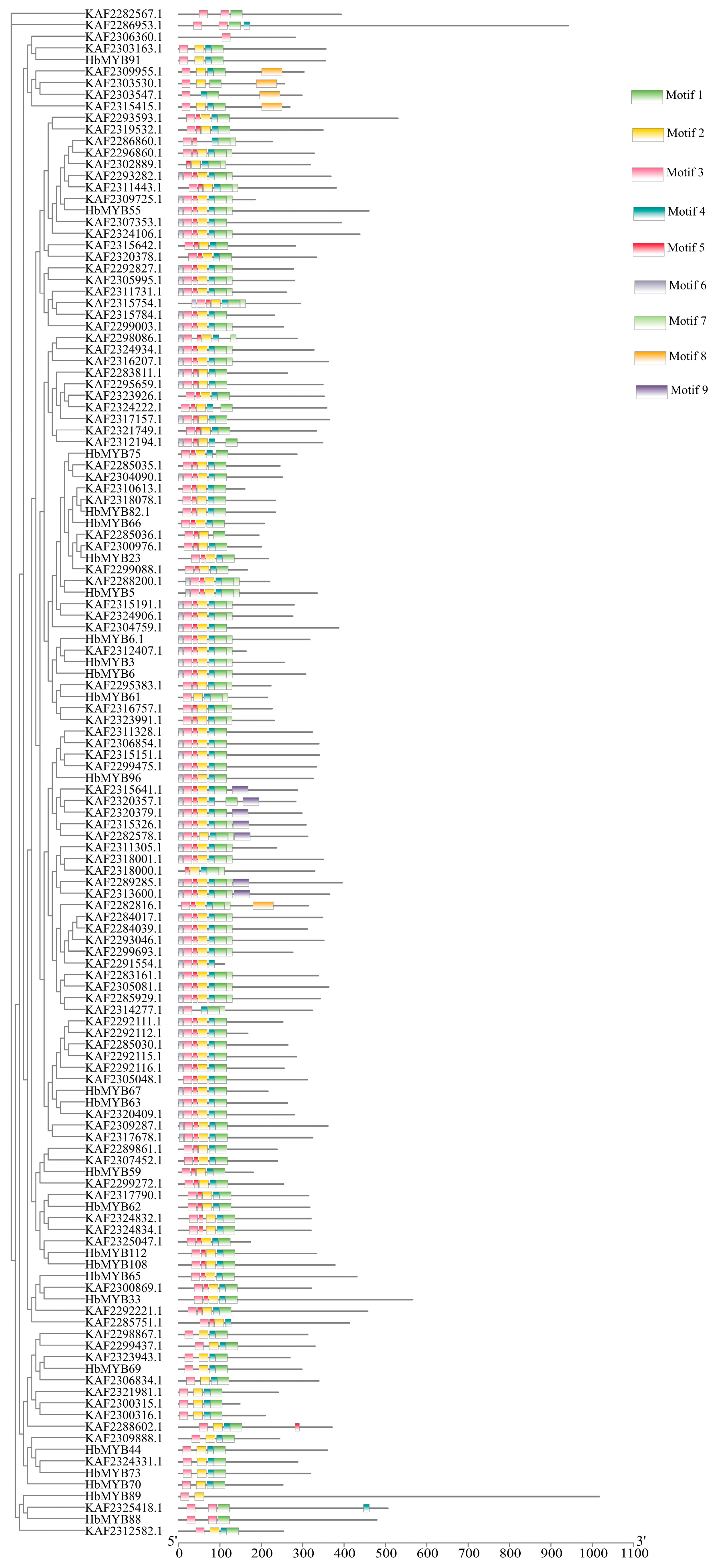 Forests 14 00710 g002