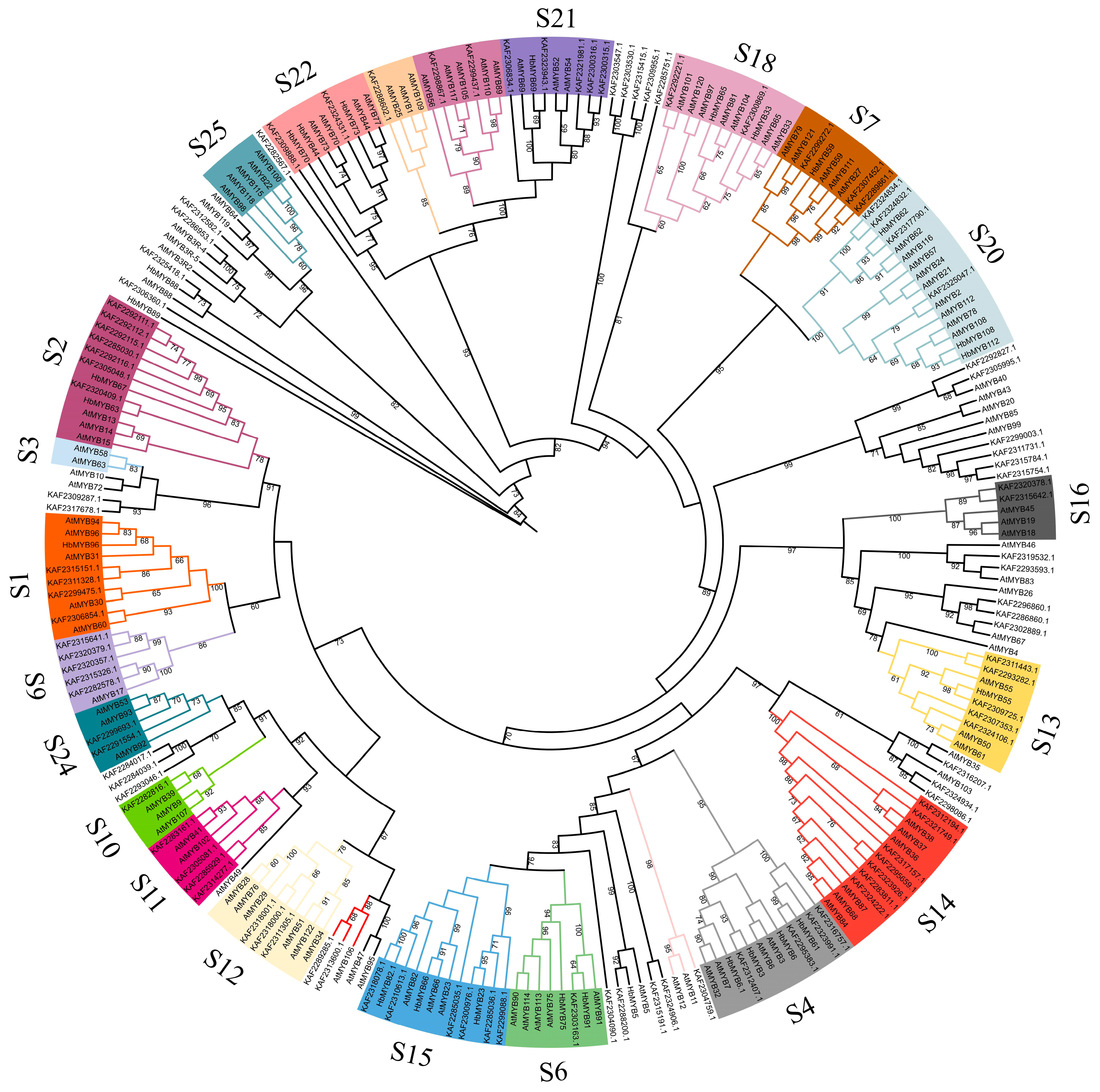 Forests 14 00710 g004