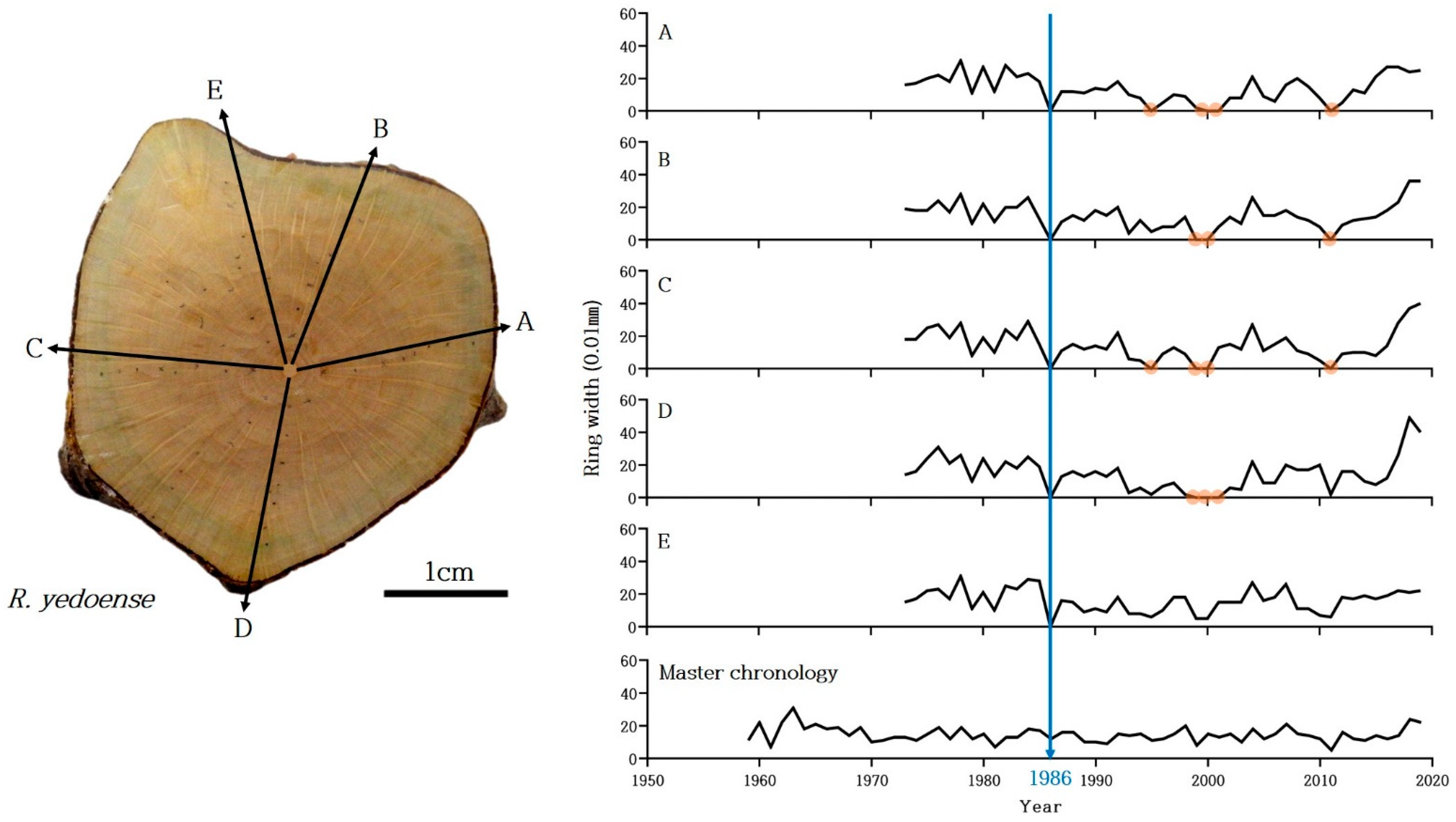 Forests 14 00716 g003 Forests 14 00716 g003