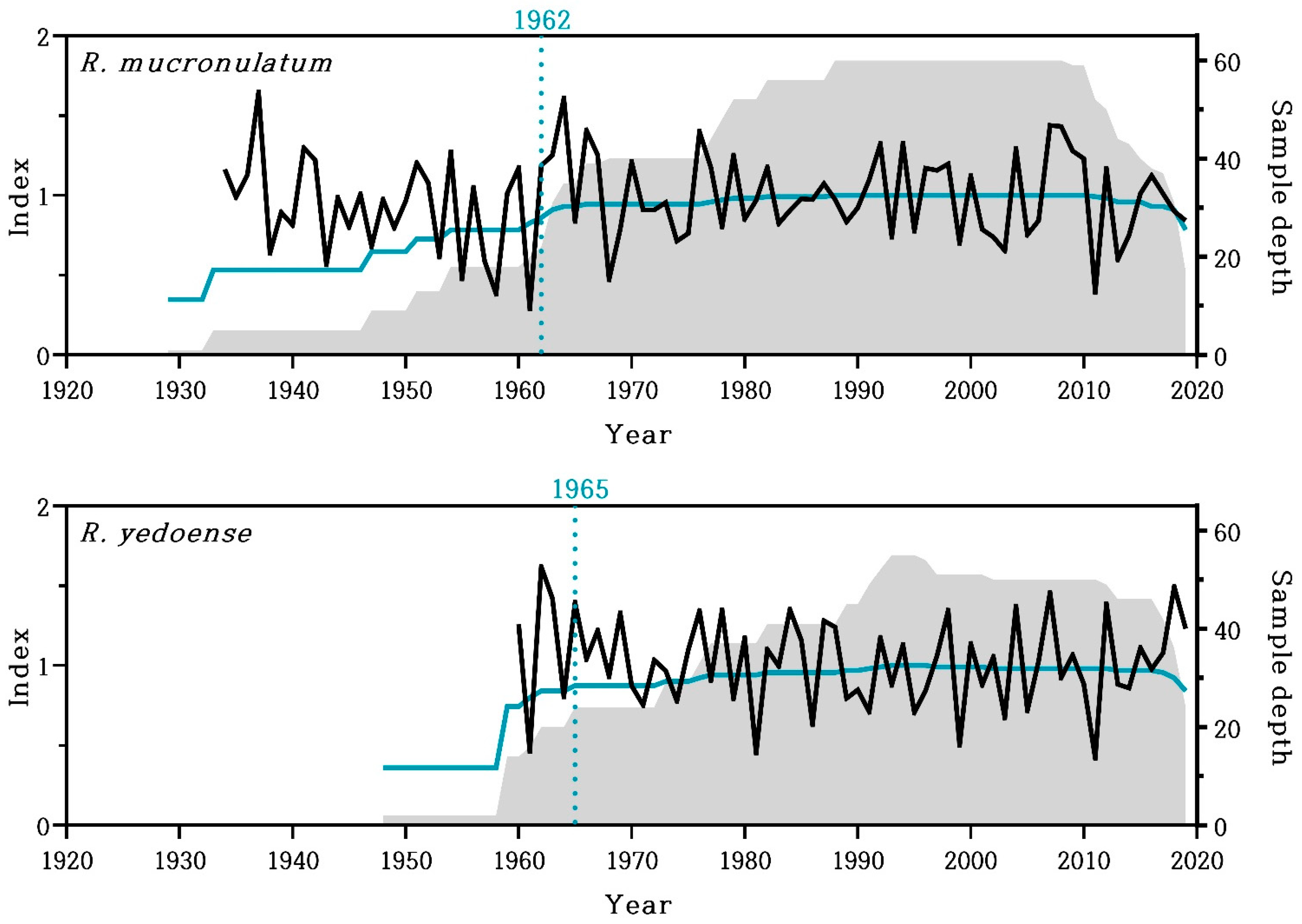 The Inter-Annual Growth Characteristics of Rhododendron spp The Inter-Annual Growth Characteristics of Rhododendron spp