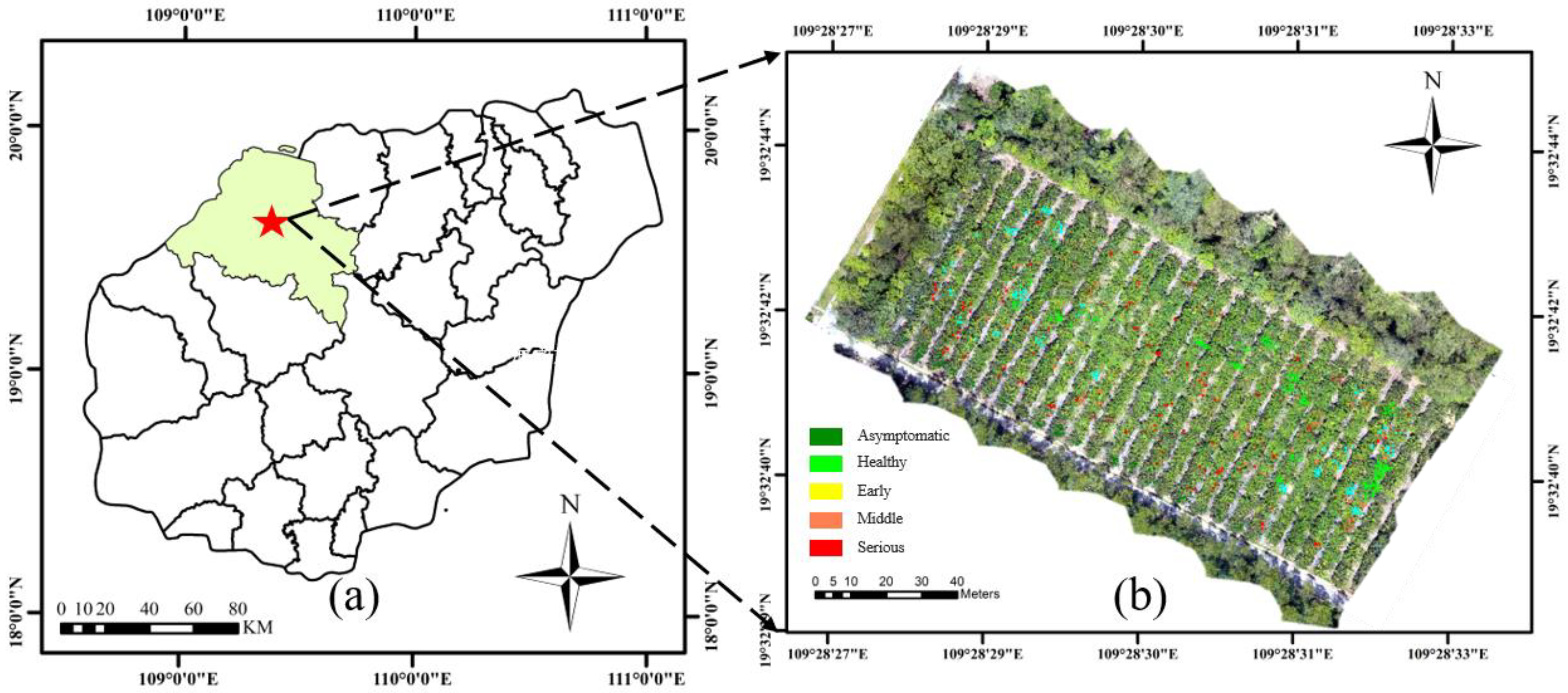Forests 14 00717 g001 Forests 14 00717 g001