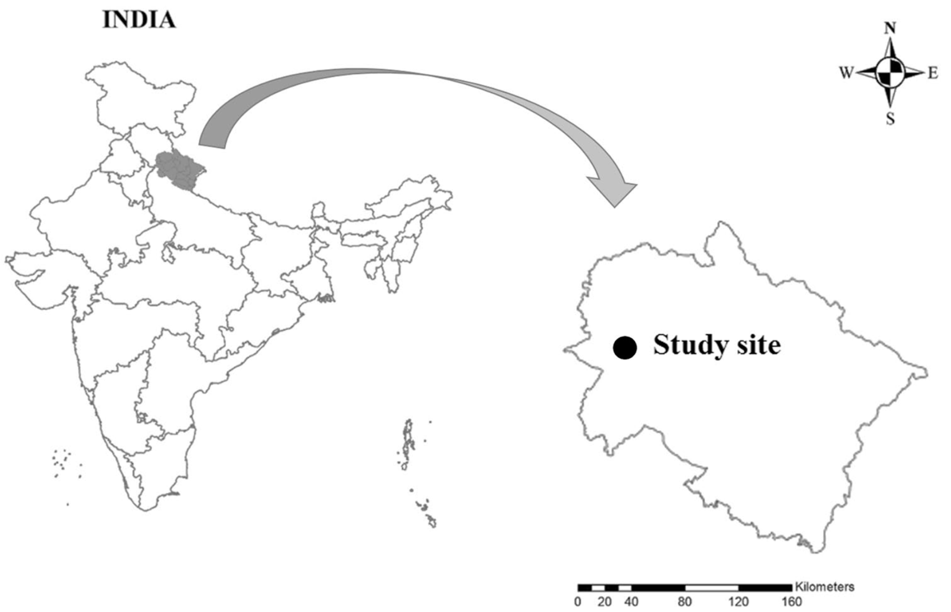 Forests 14 00722 g001 Forests 14 00722 g001