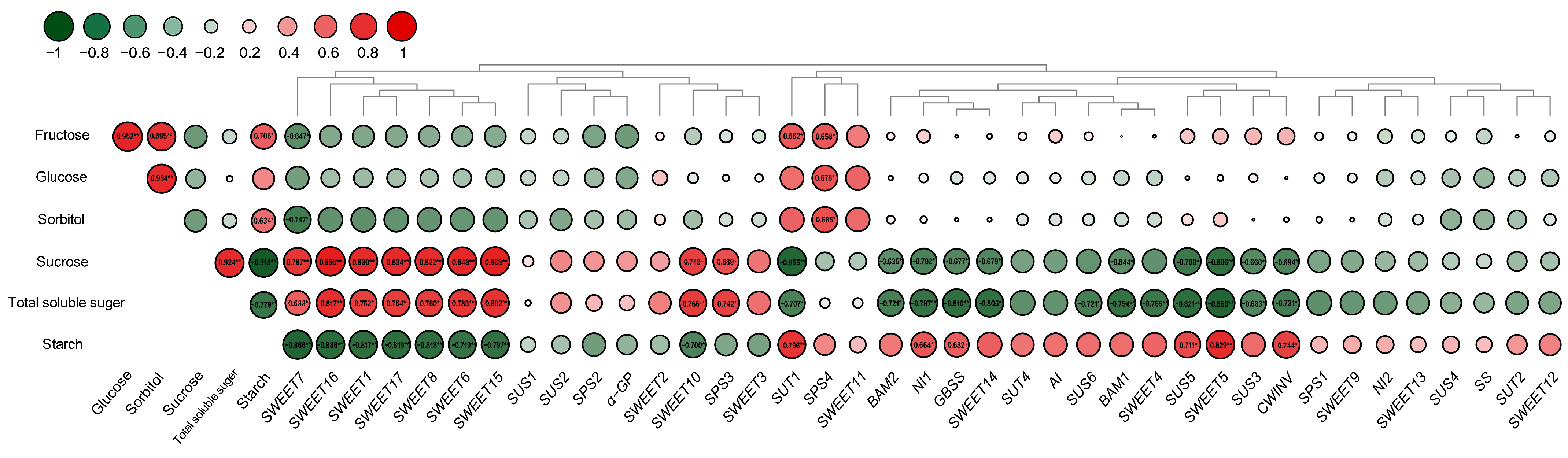 Forests 14 00723 g006 Forests 14 00723 g006
