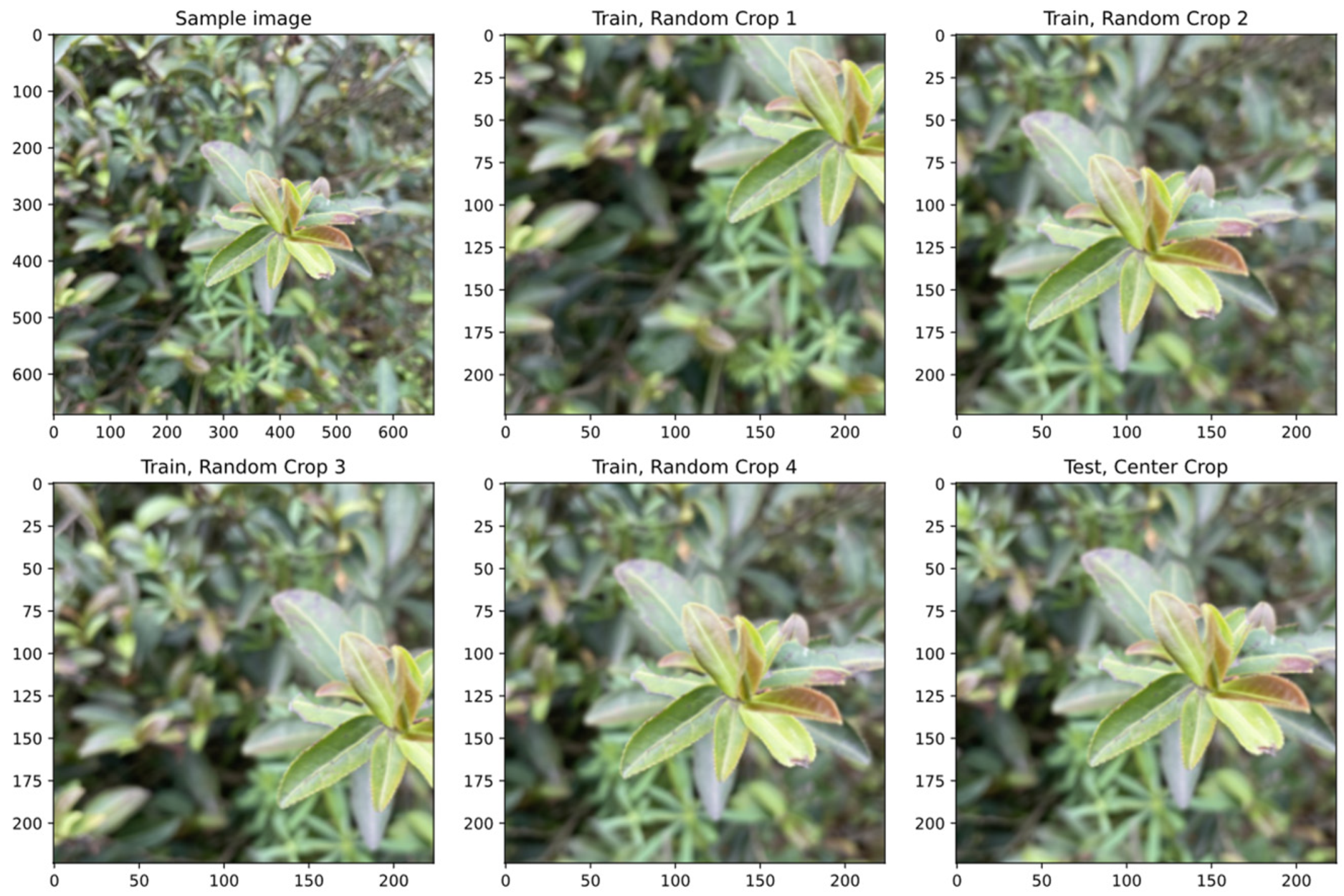 Forests 14 00728 g002 Forests 14 00728 g002