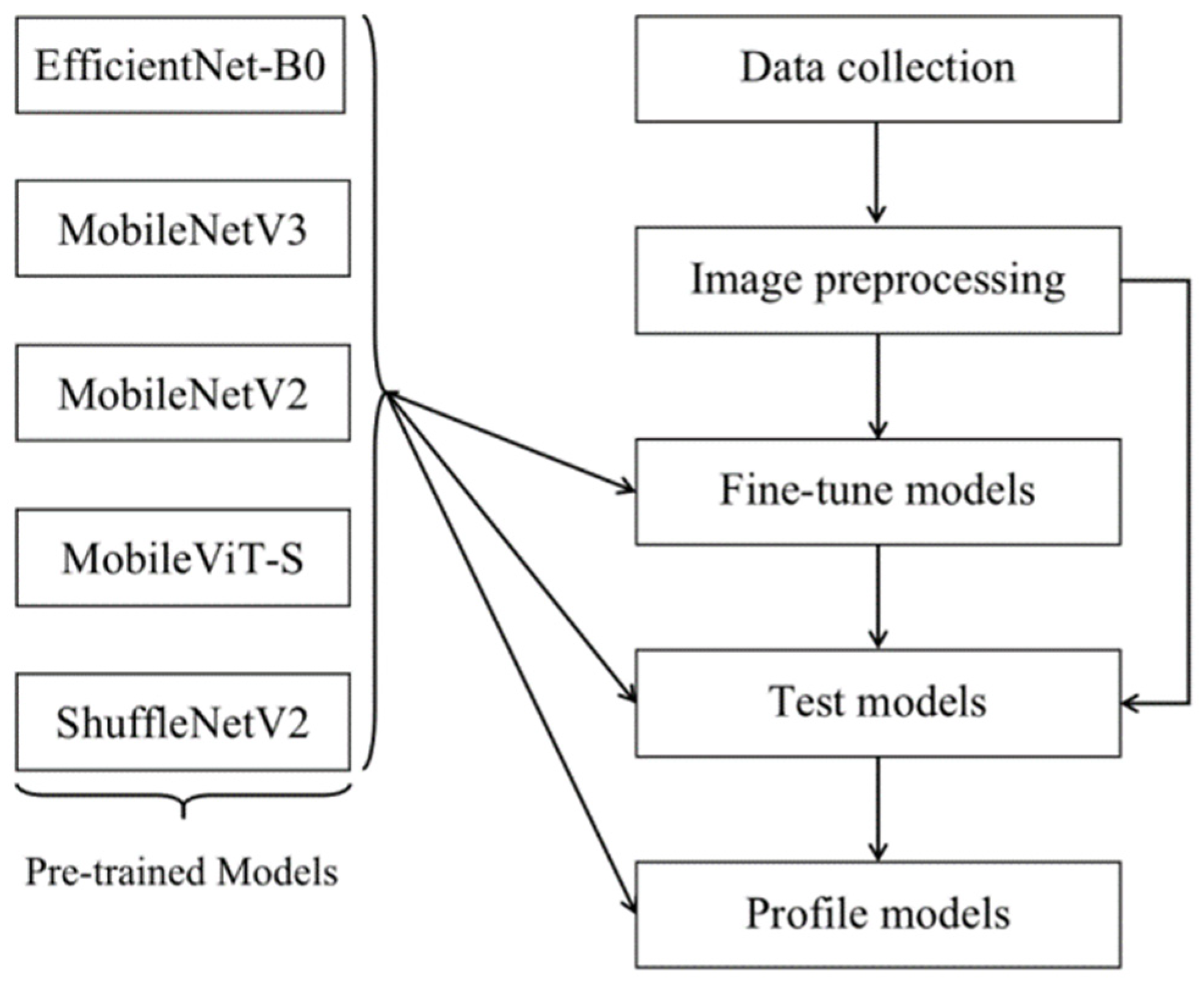 Forests 14 00728 g003 Forests 14 00728 g003