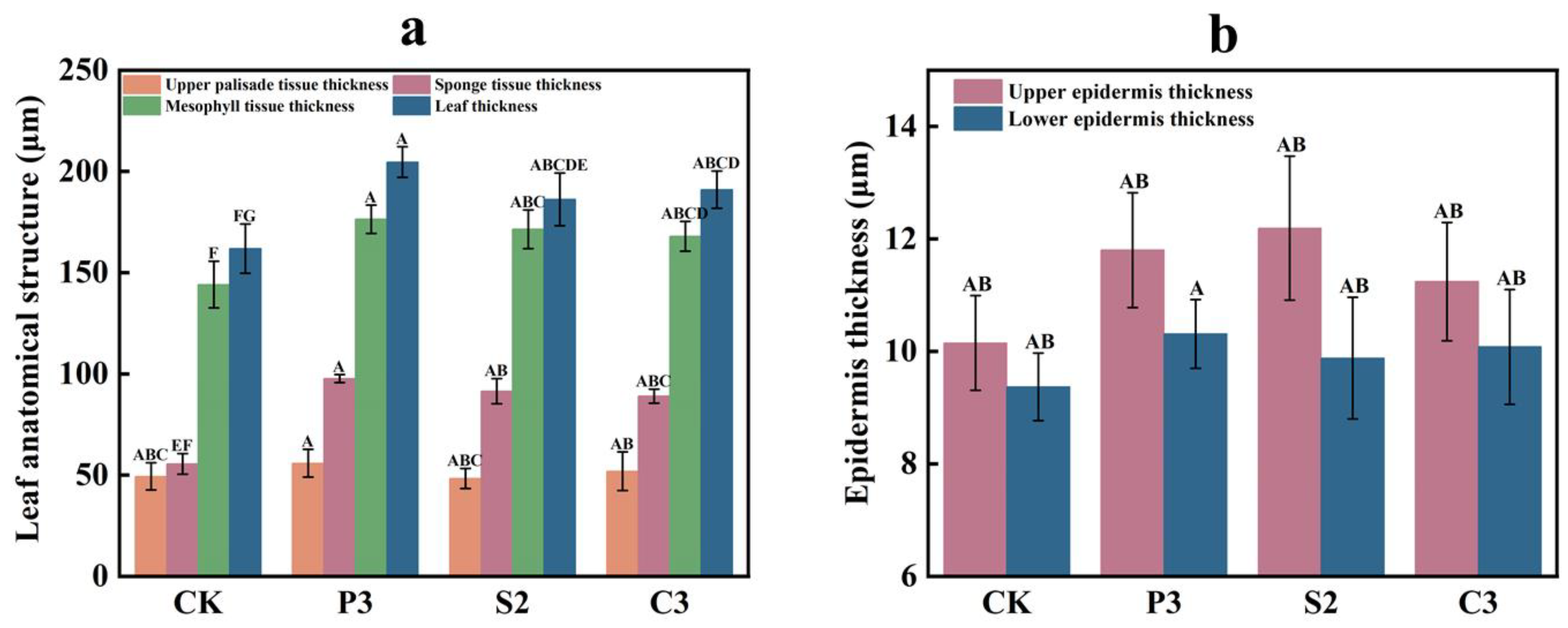 Forests 14 00732 g005