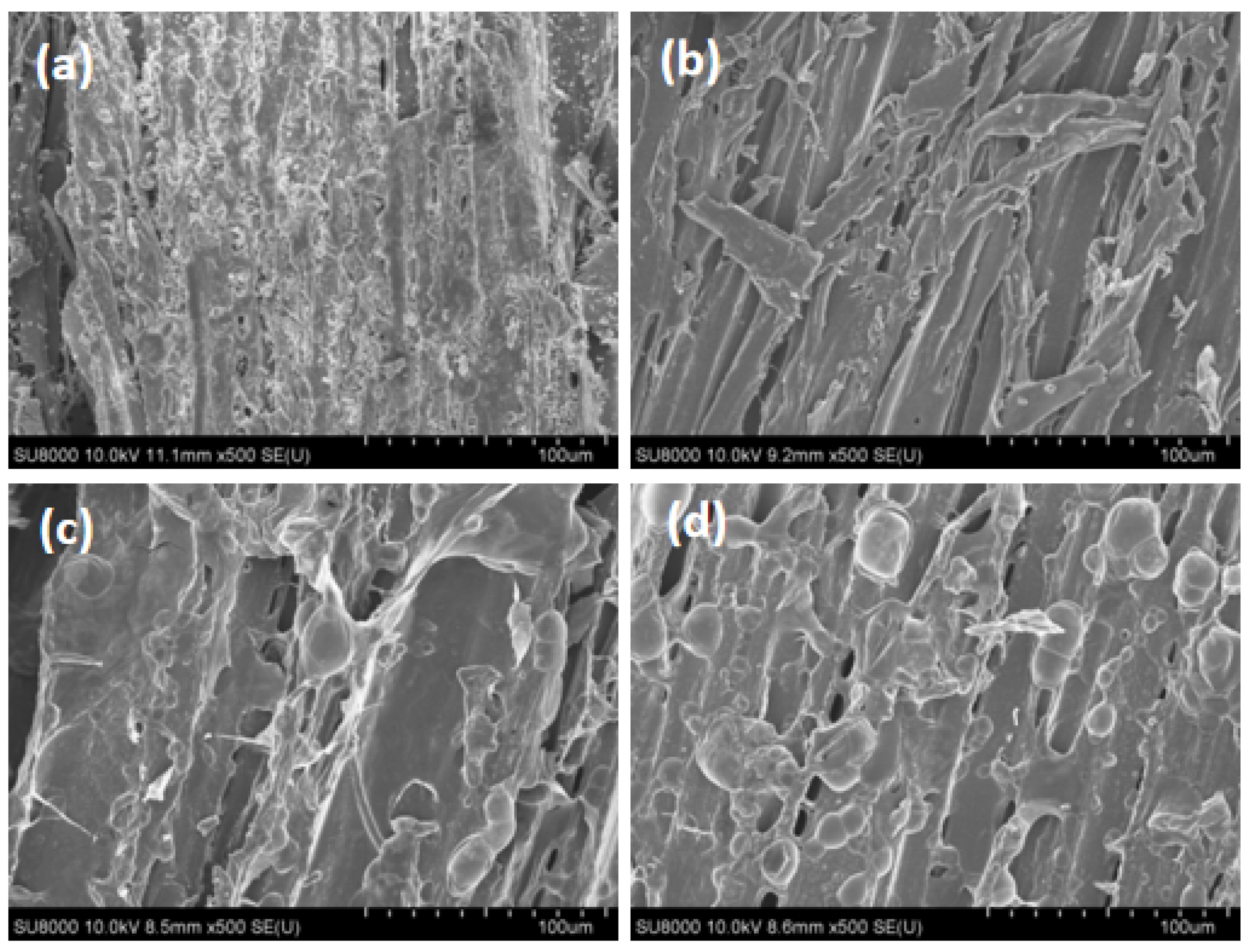 Forests 14 00741 g005