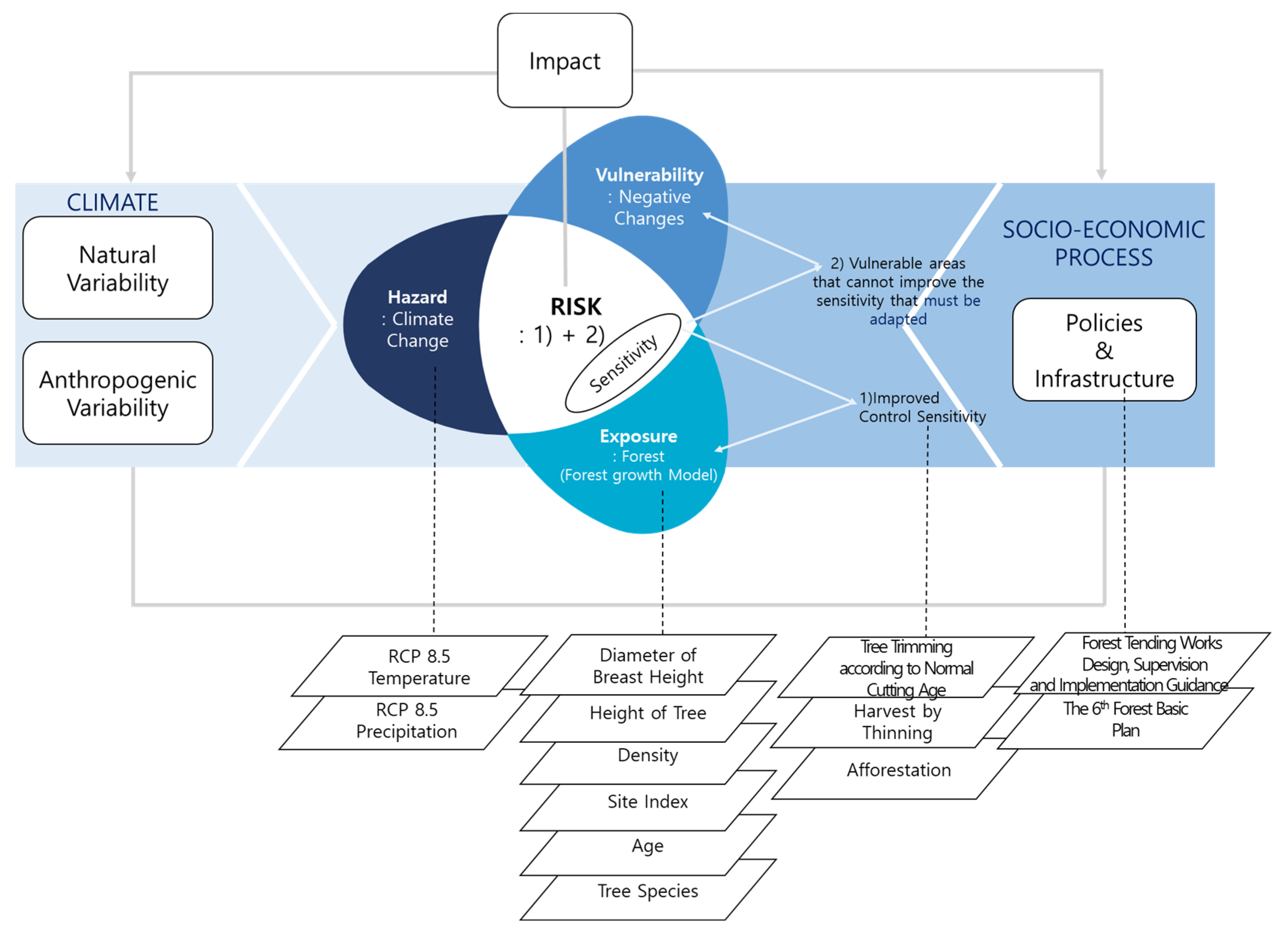 Forests 14 00745 g002