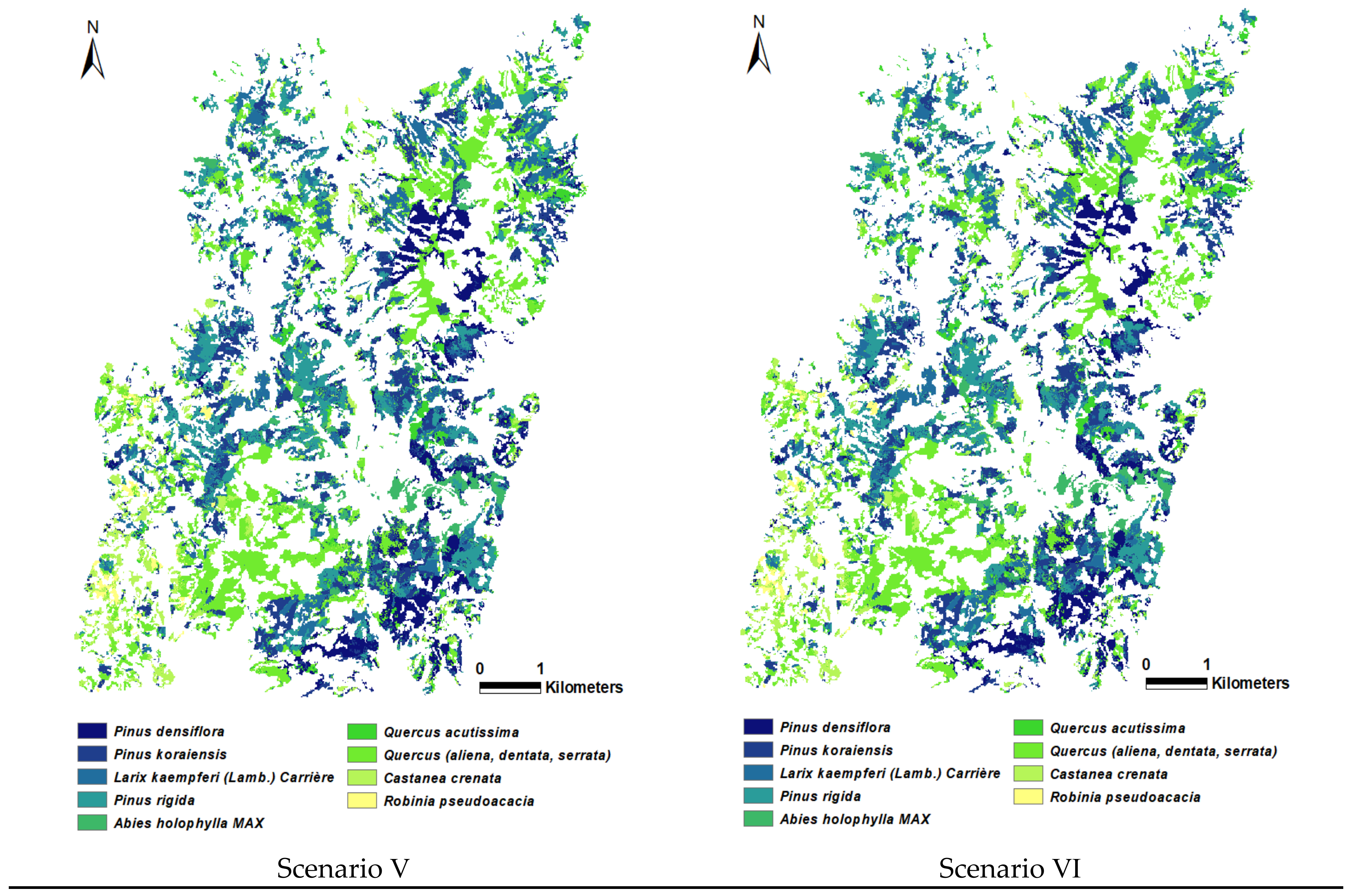 Forests 14 00746 g007b