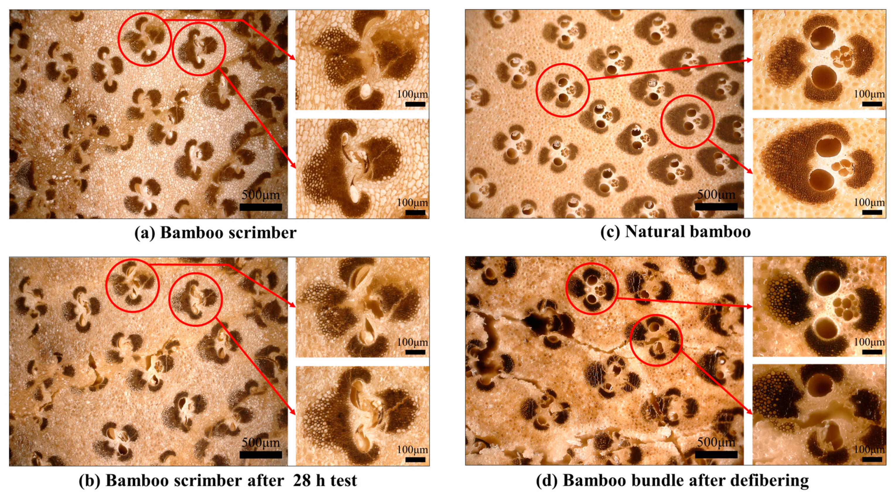 Forests 14 00749 g004 Forests 14 00749 g004