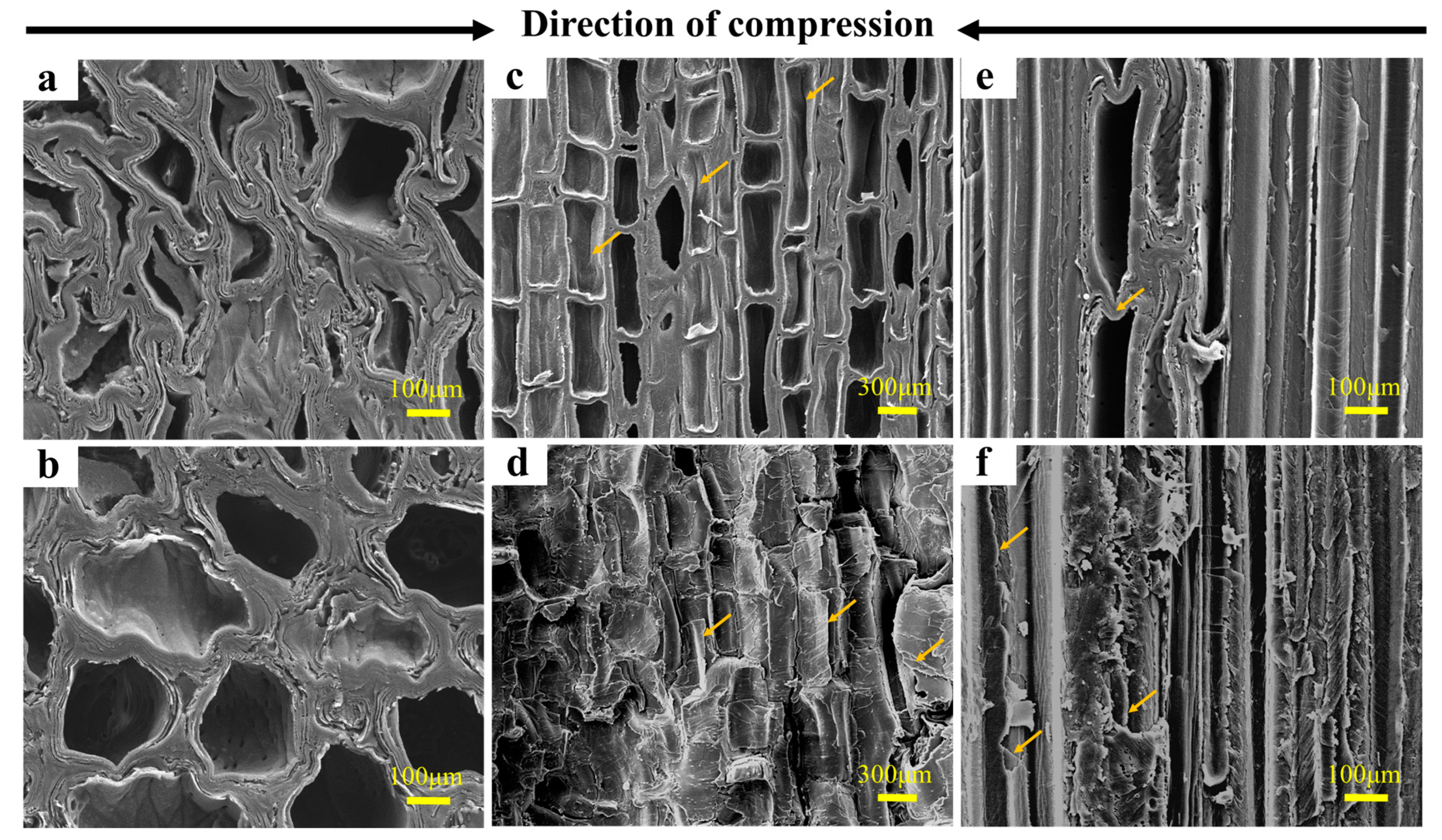 Forests 14 00749 g005 Forests 14 00749 g005