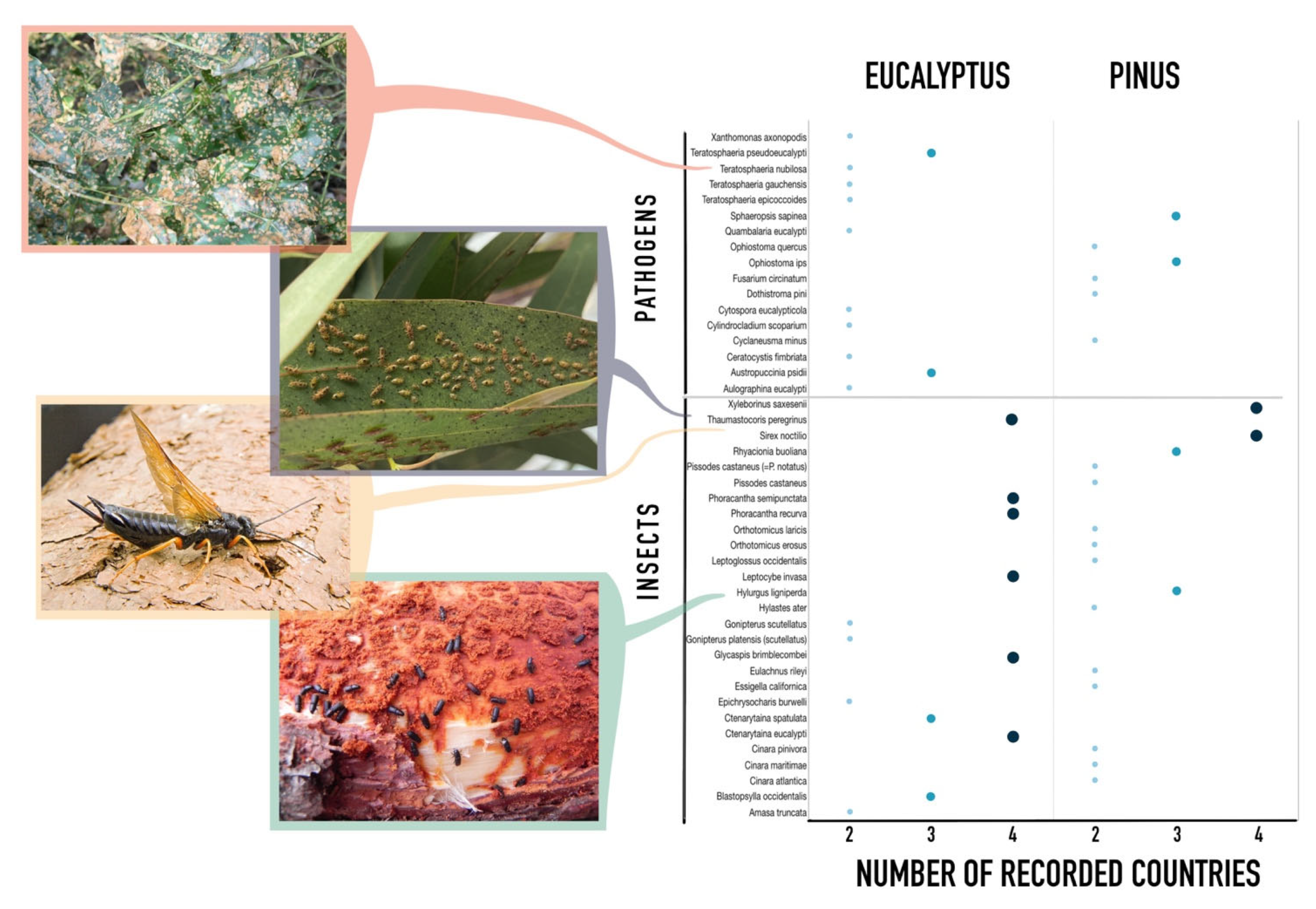 Forests 14 00756 g002 Forests 14 00756 g002