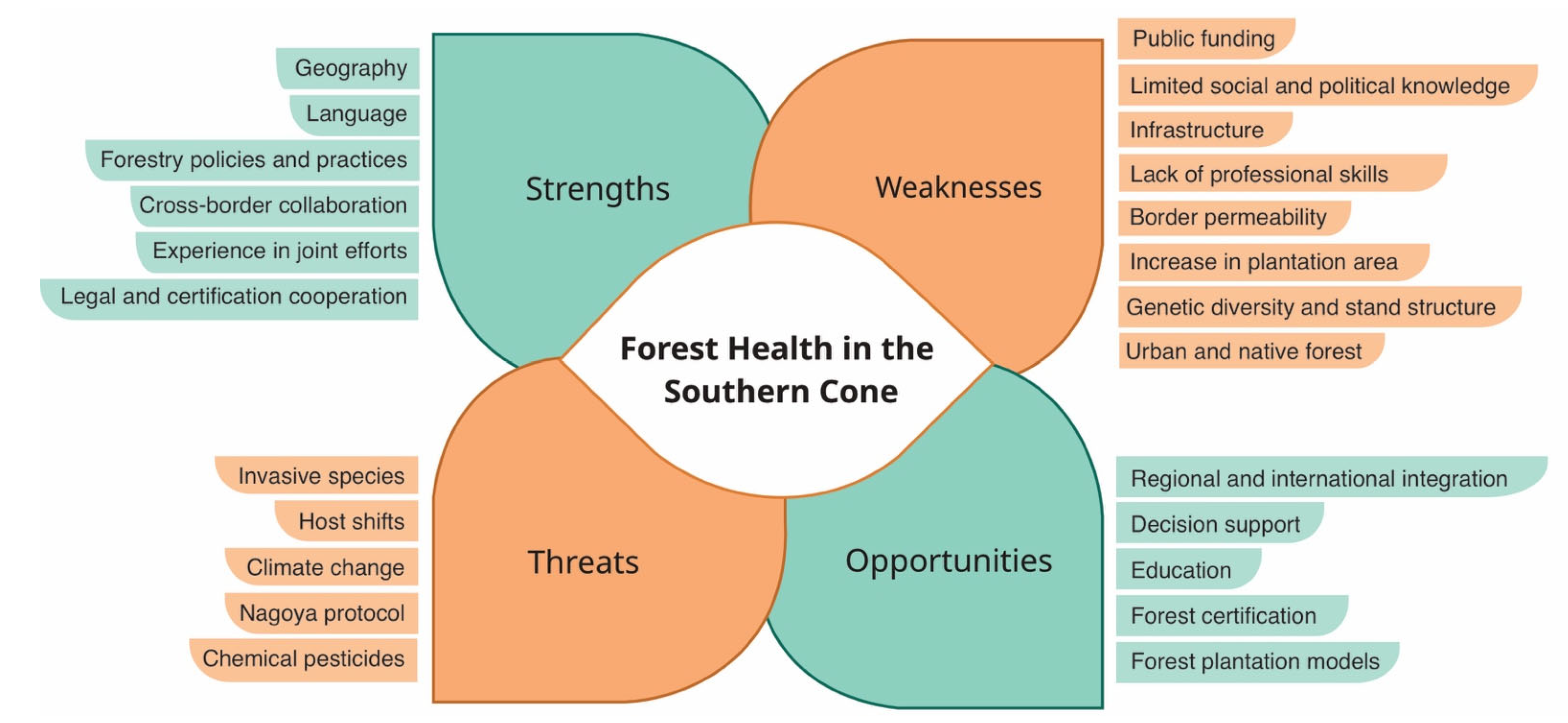 Forests 14 00756 g003 Forests 14 00756 g003