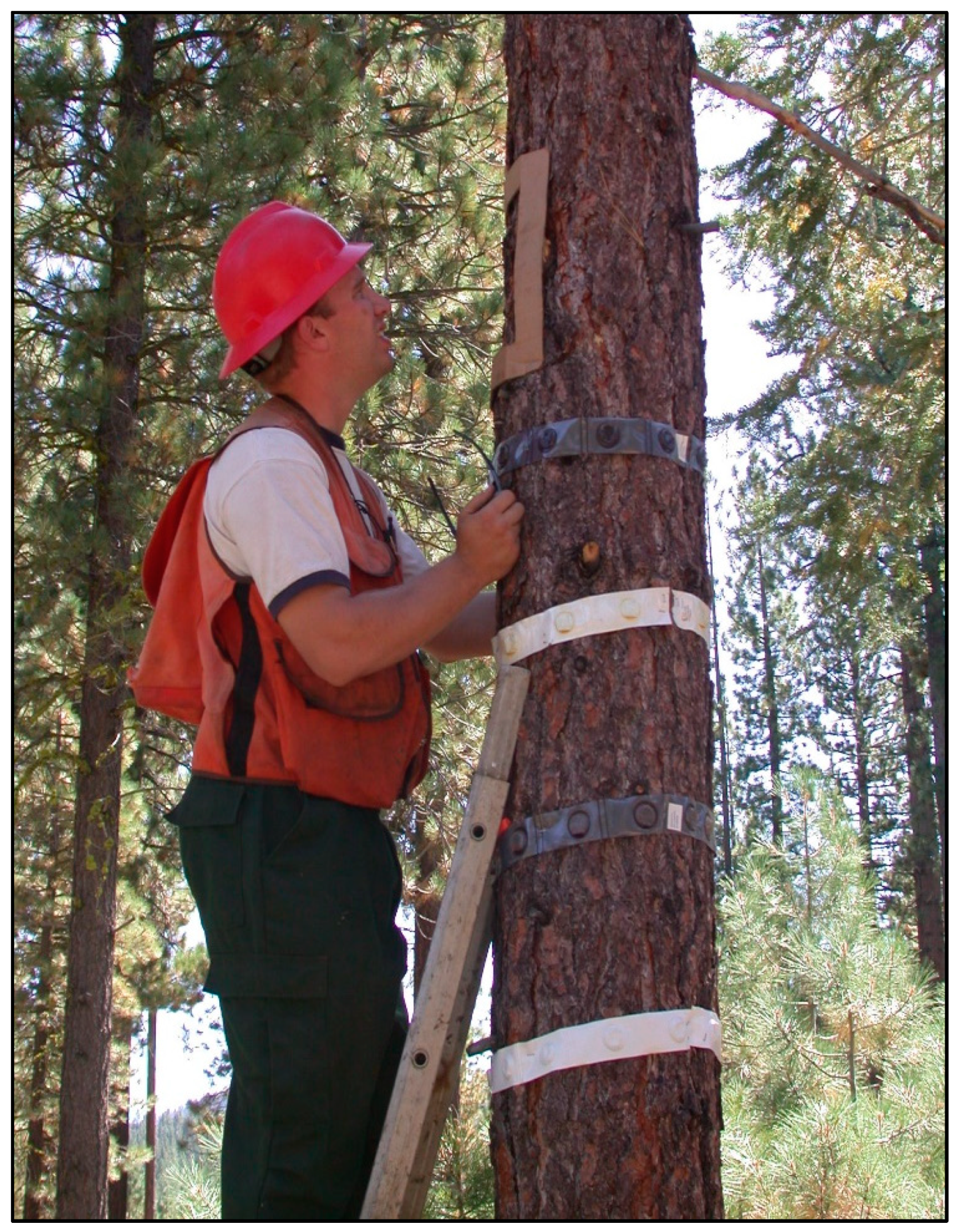 Forests 14 00757 g007 Forests 14 00757 g007