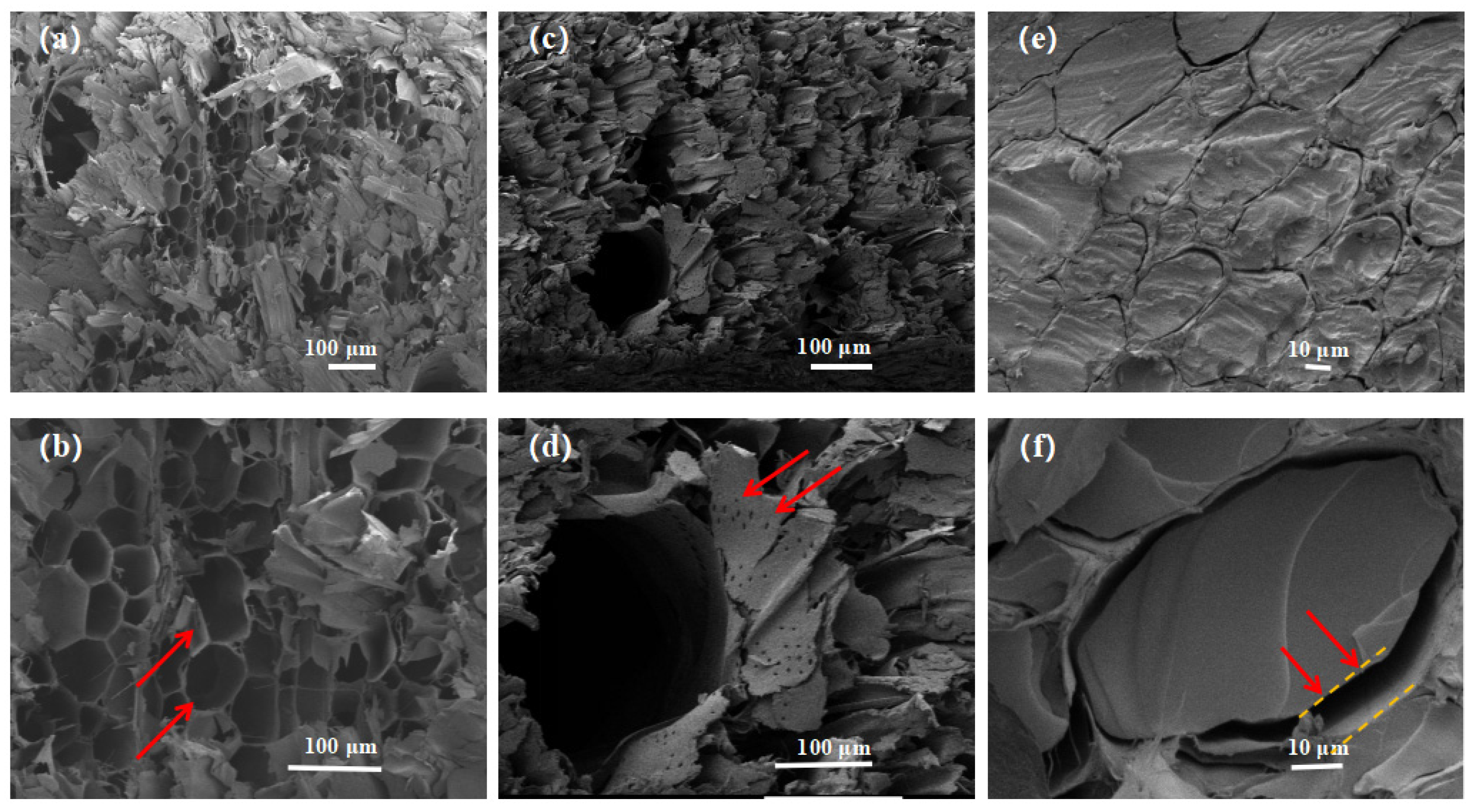 Forests 14 00759 g002 Forests 14 00759 g002