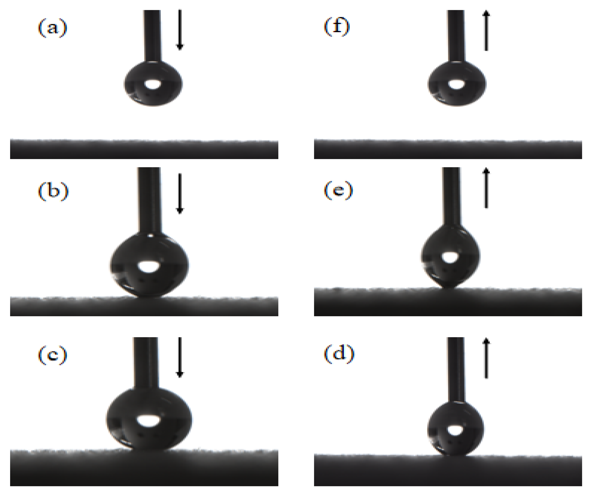 Forests 14 00759 g005 Forests 14 00759 g005