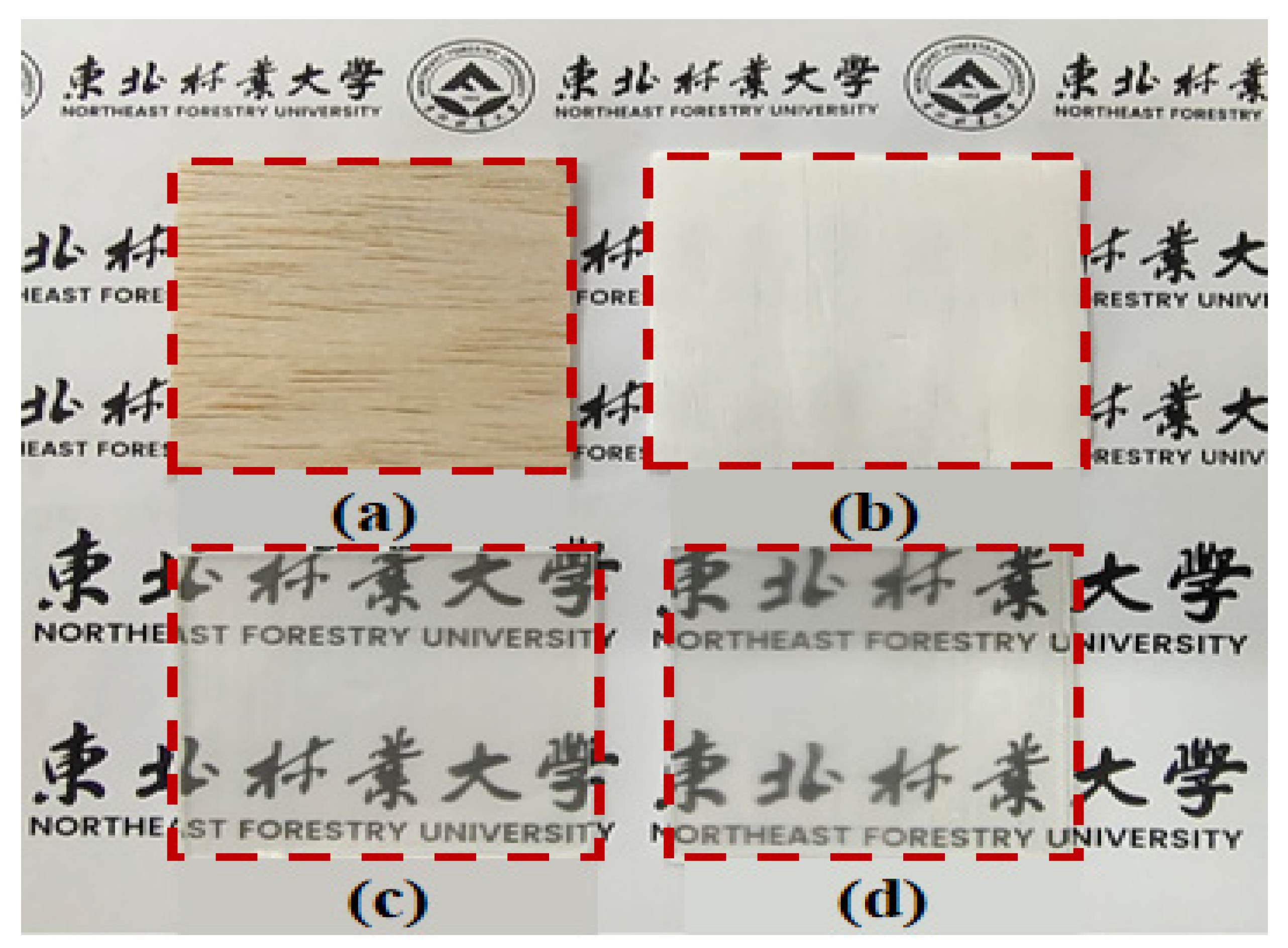 Forests 14 00759 g006 Forests 14 00759 g006