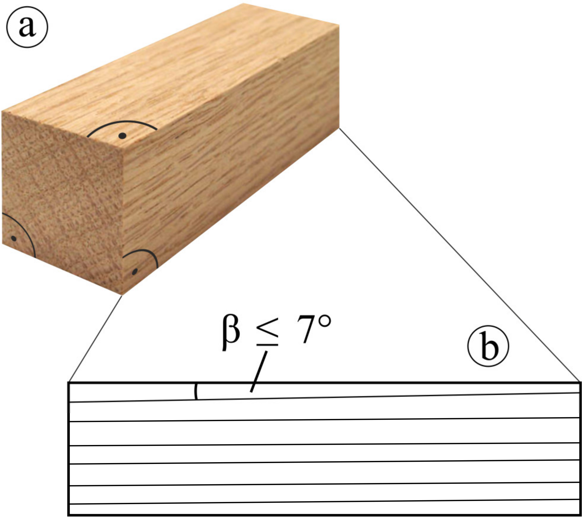 Forests 14 00763 g006 Forests 14 00763 g006