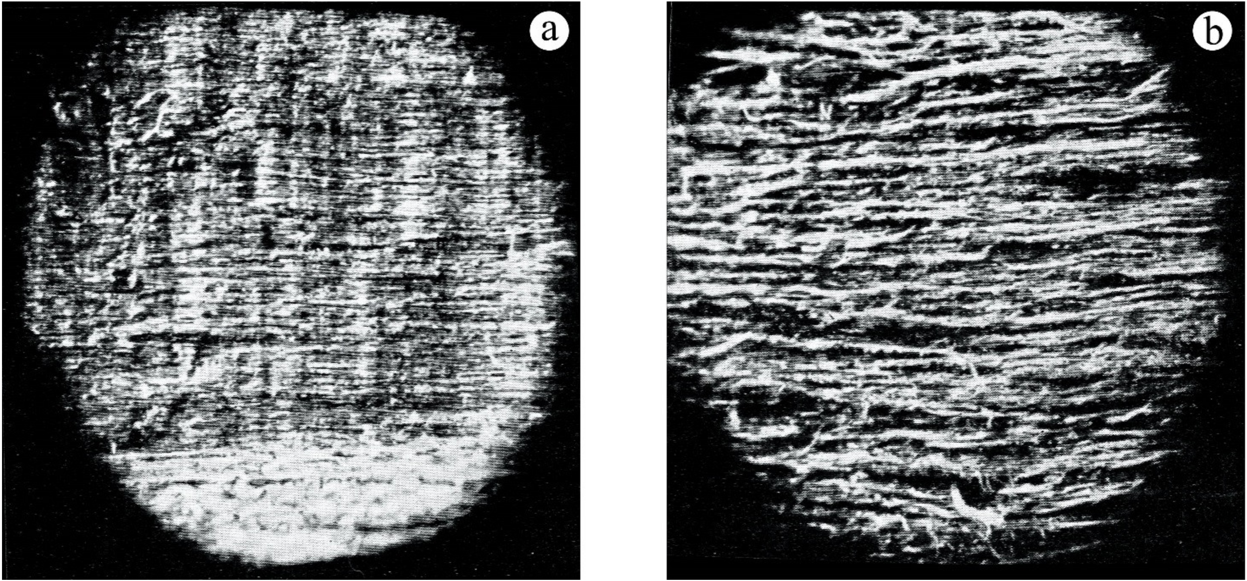 Forests 14 00763 g008 Forests 14 00763 g008