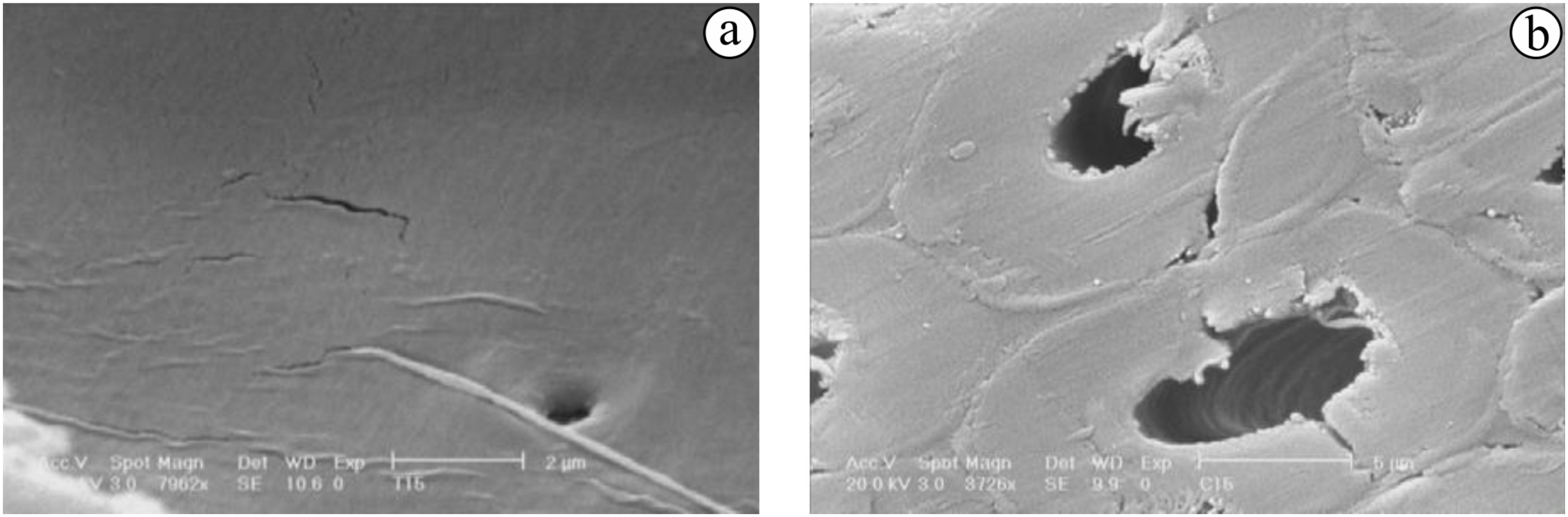 Forests 14 00763 g016 Forests 14 00763 g016