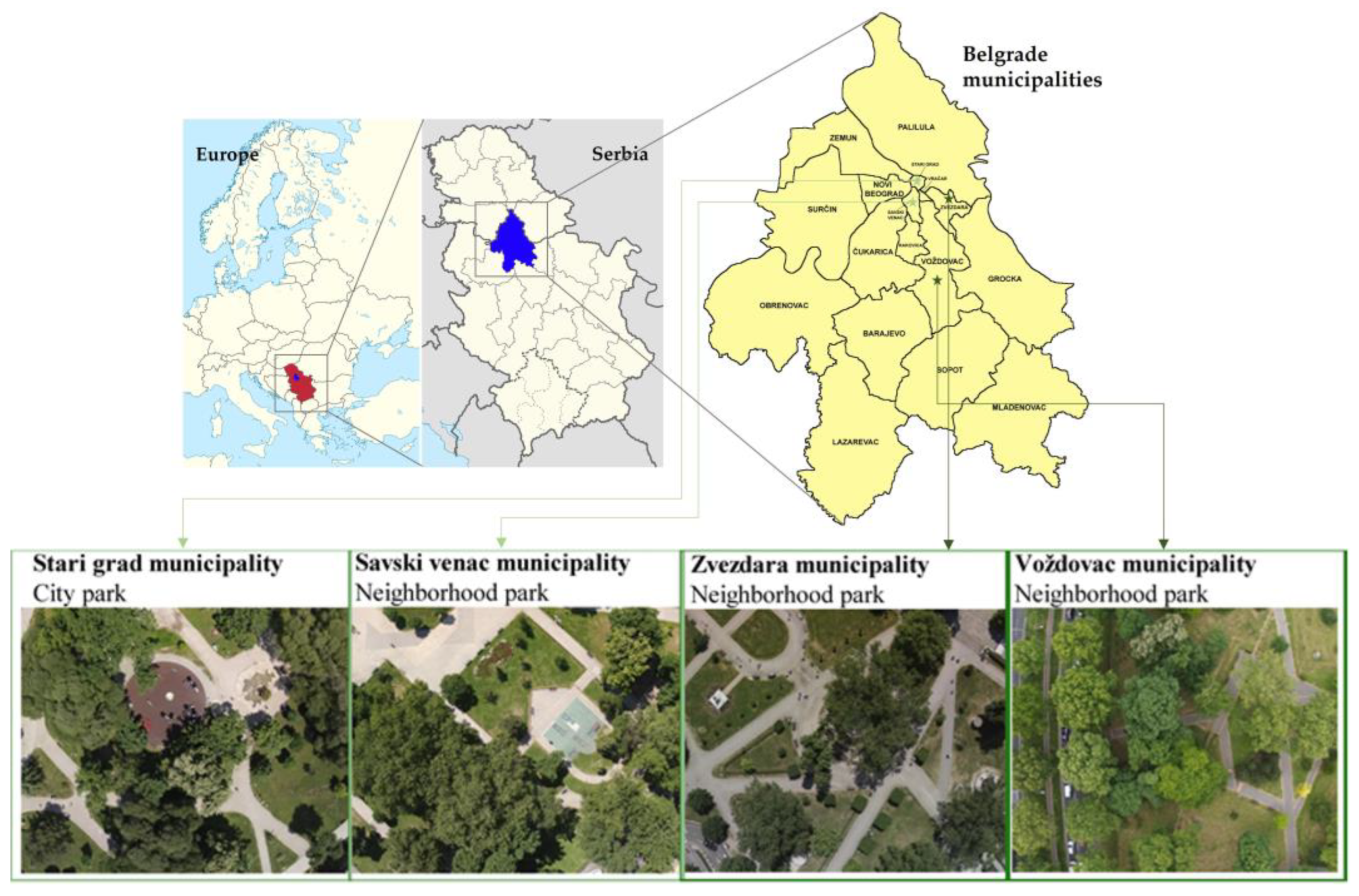 Forests 14 00765 g001