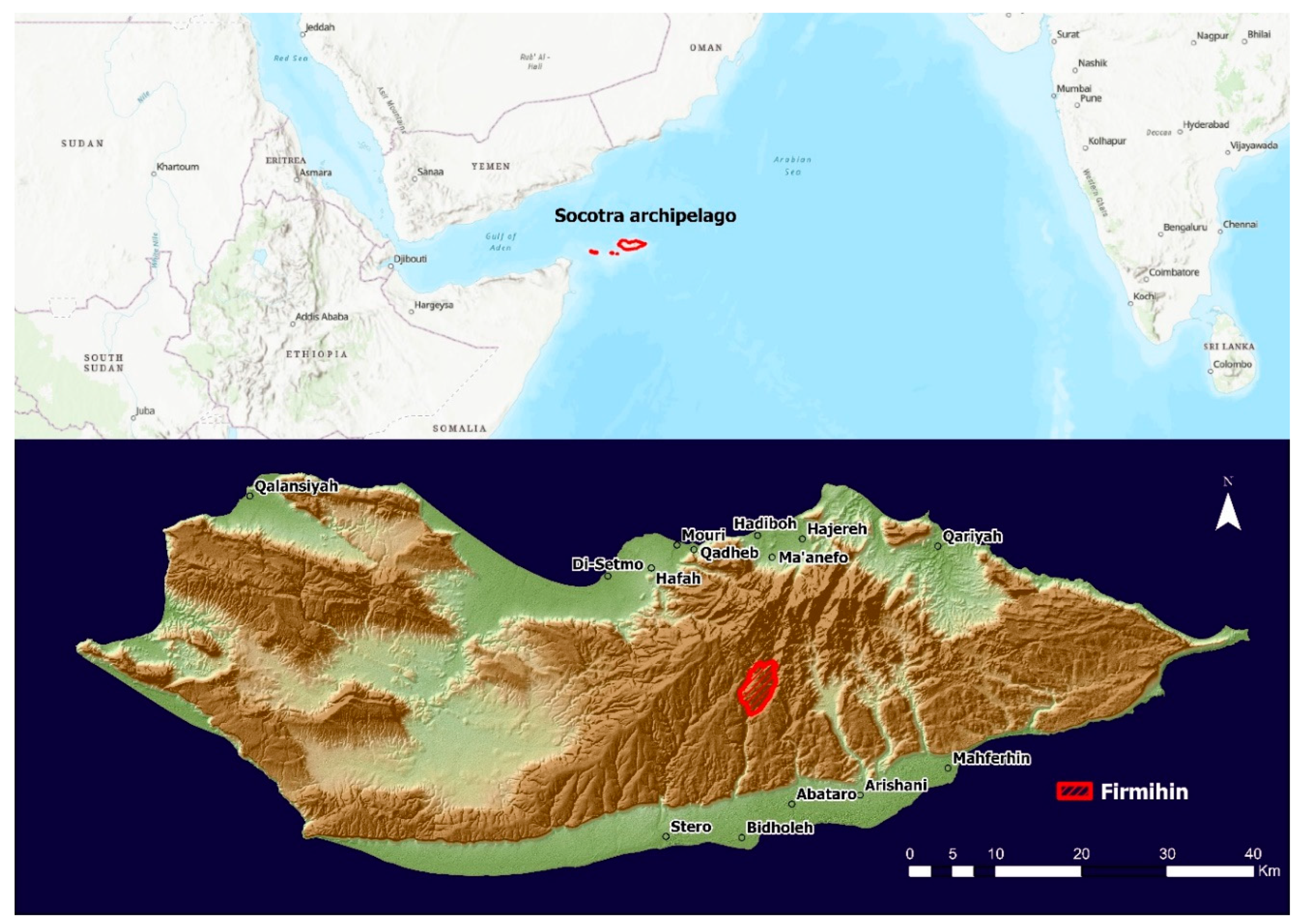 Forests 14 00766 g001