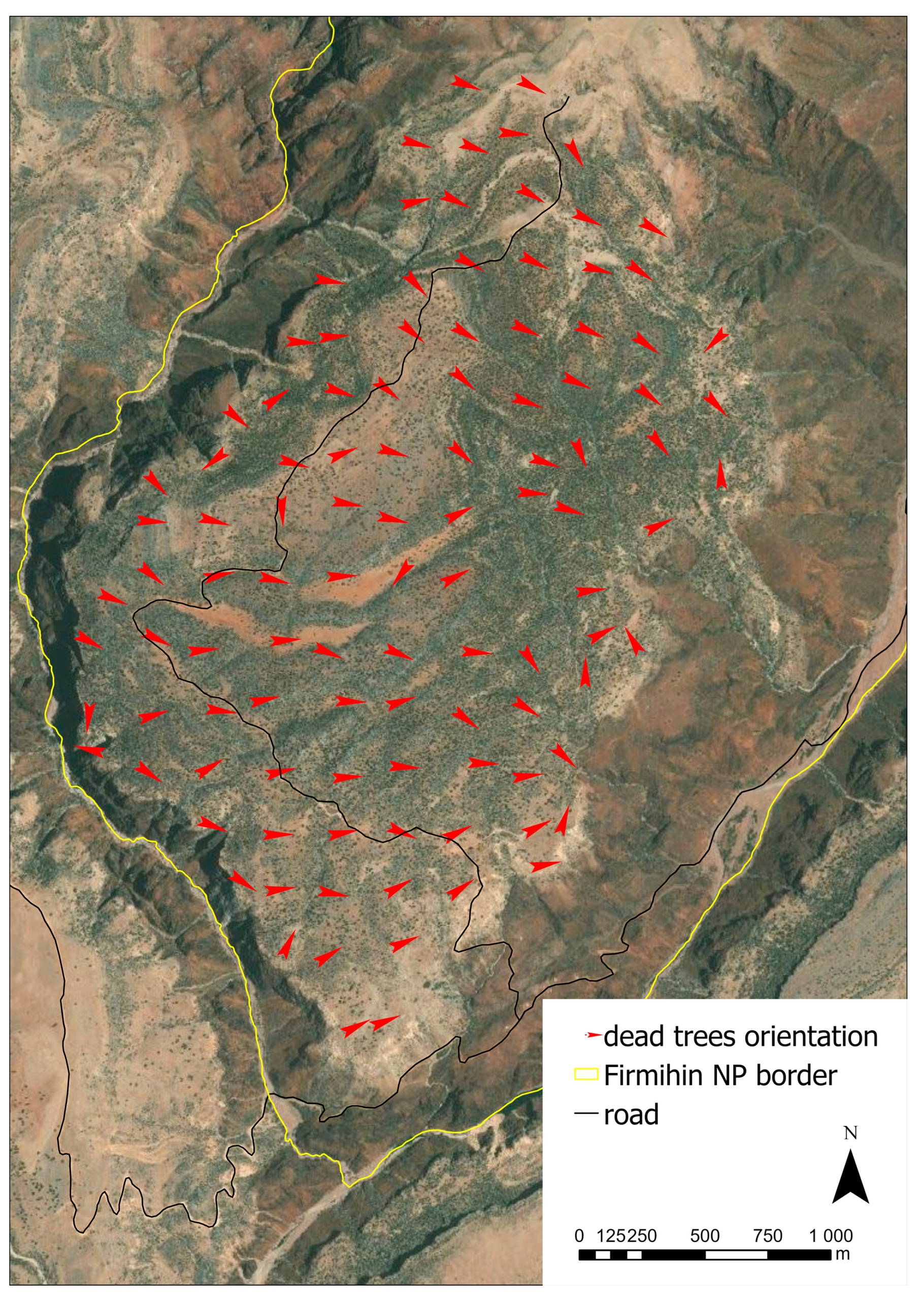 Forests 14 00766 g010