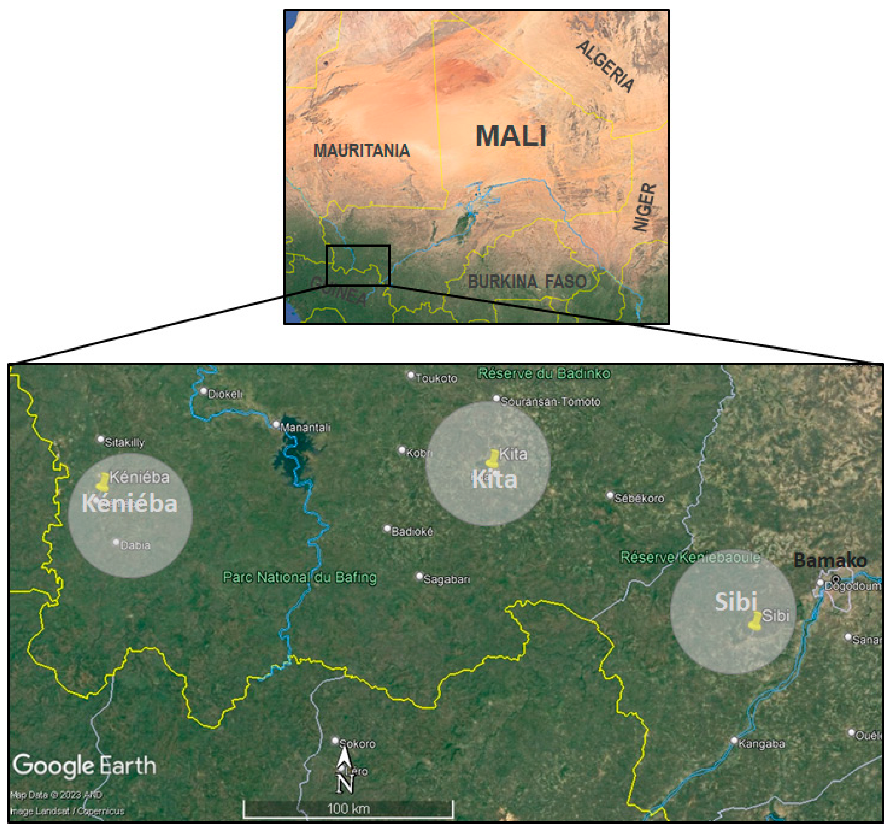 Forests 14 00767 g001