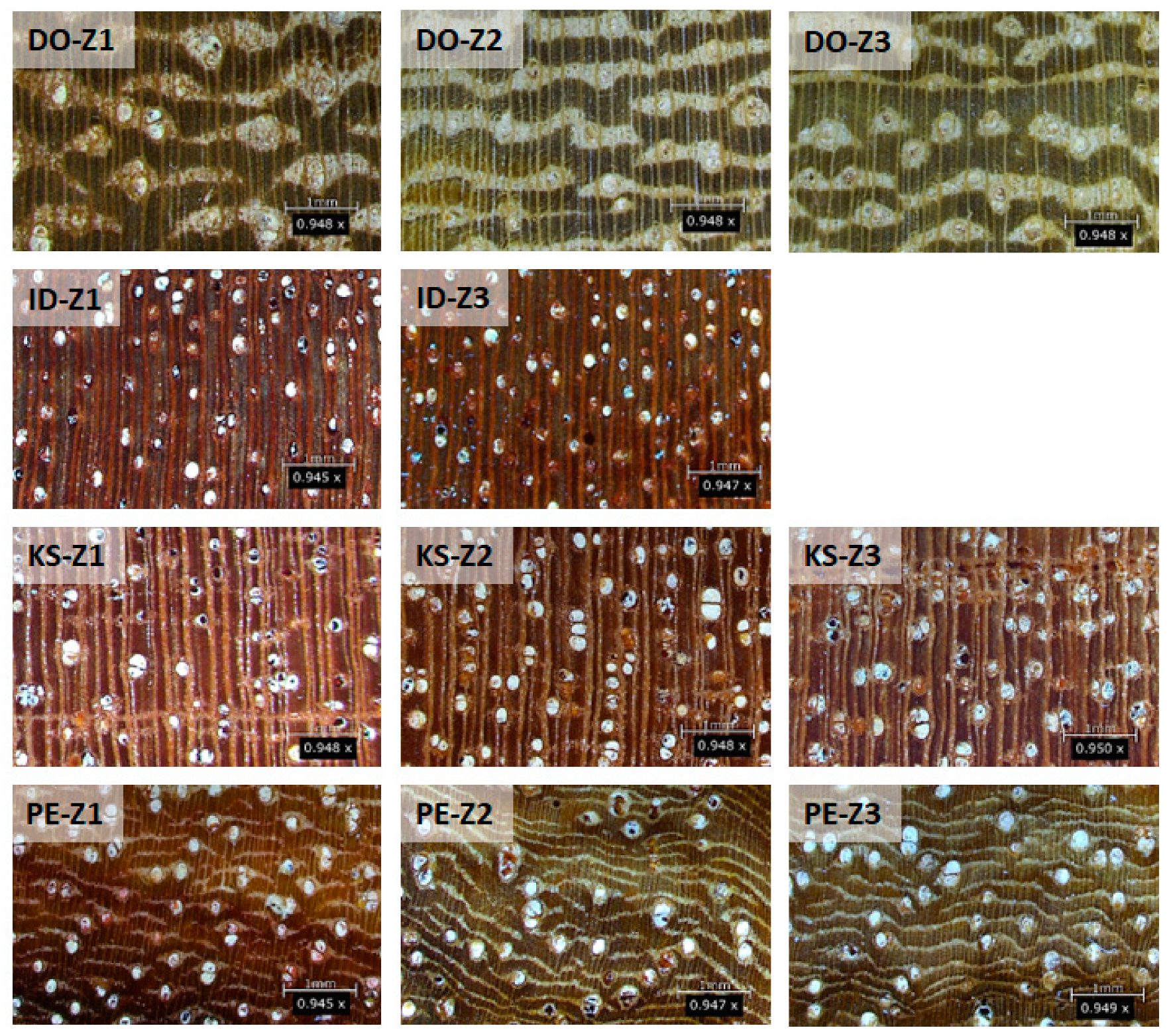 Forests 14 00767 g002