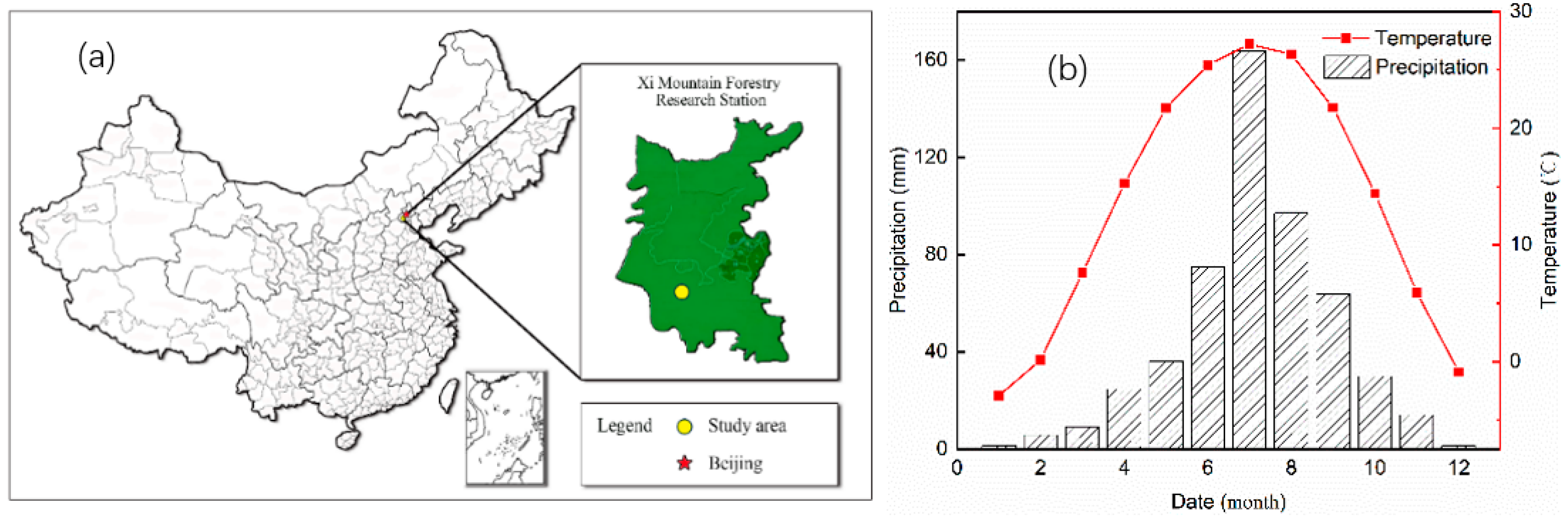 Forests 14 00775 g001 Forests 14 00775 g001