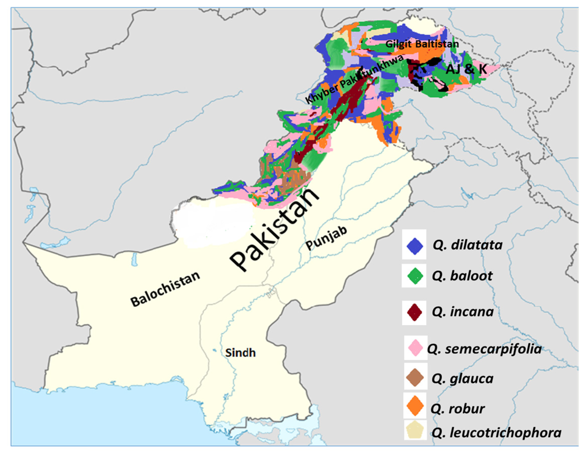 Forests 14 00777 g003 Forests 14 00777 g003