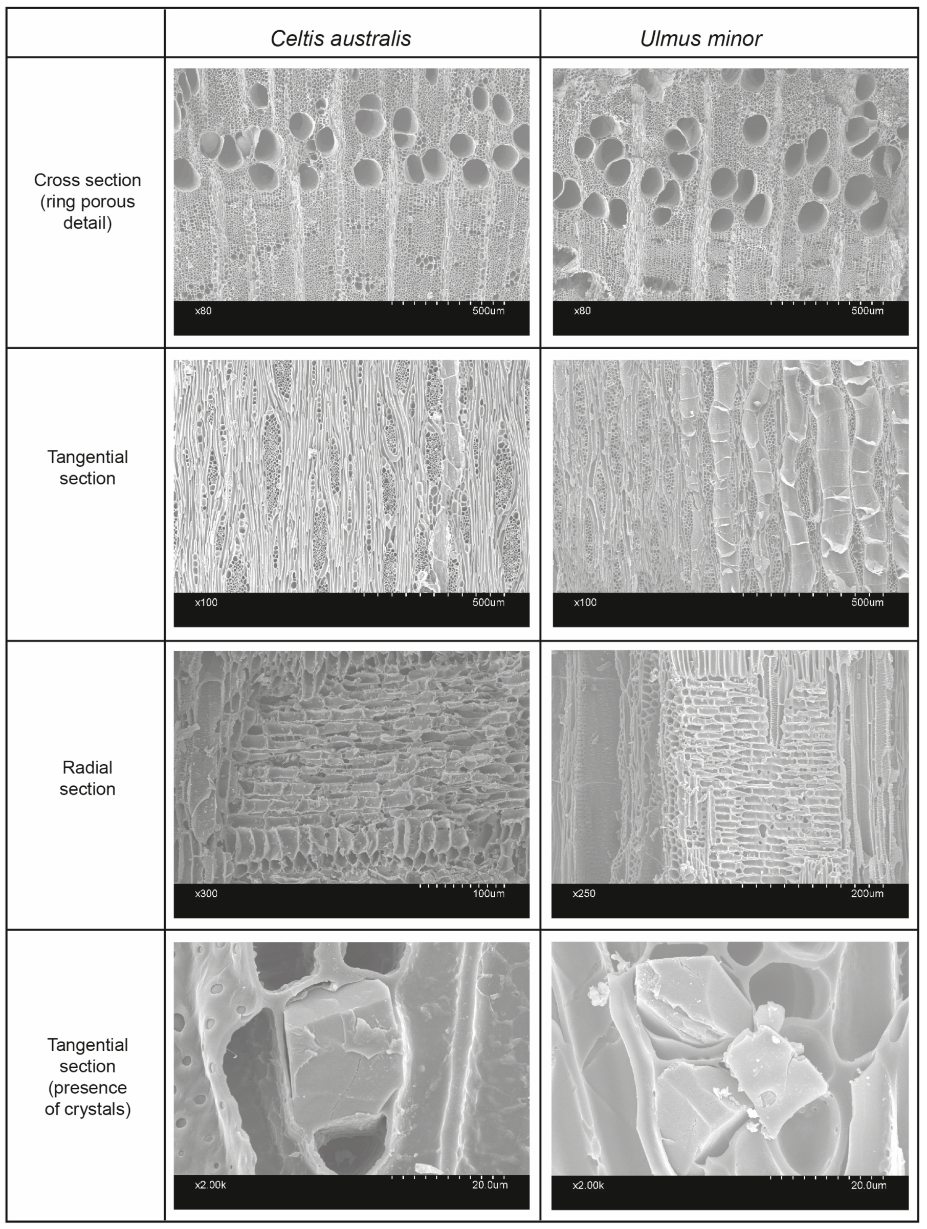 Forests 14 00779 g002