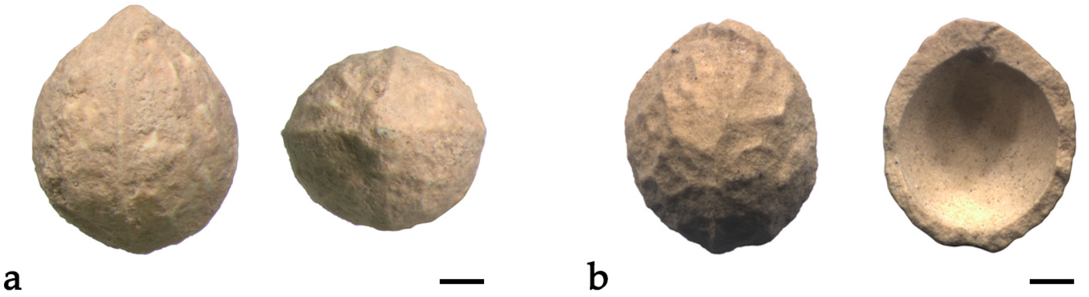 Forests 14 00779 g009