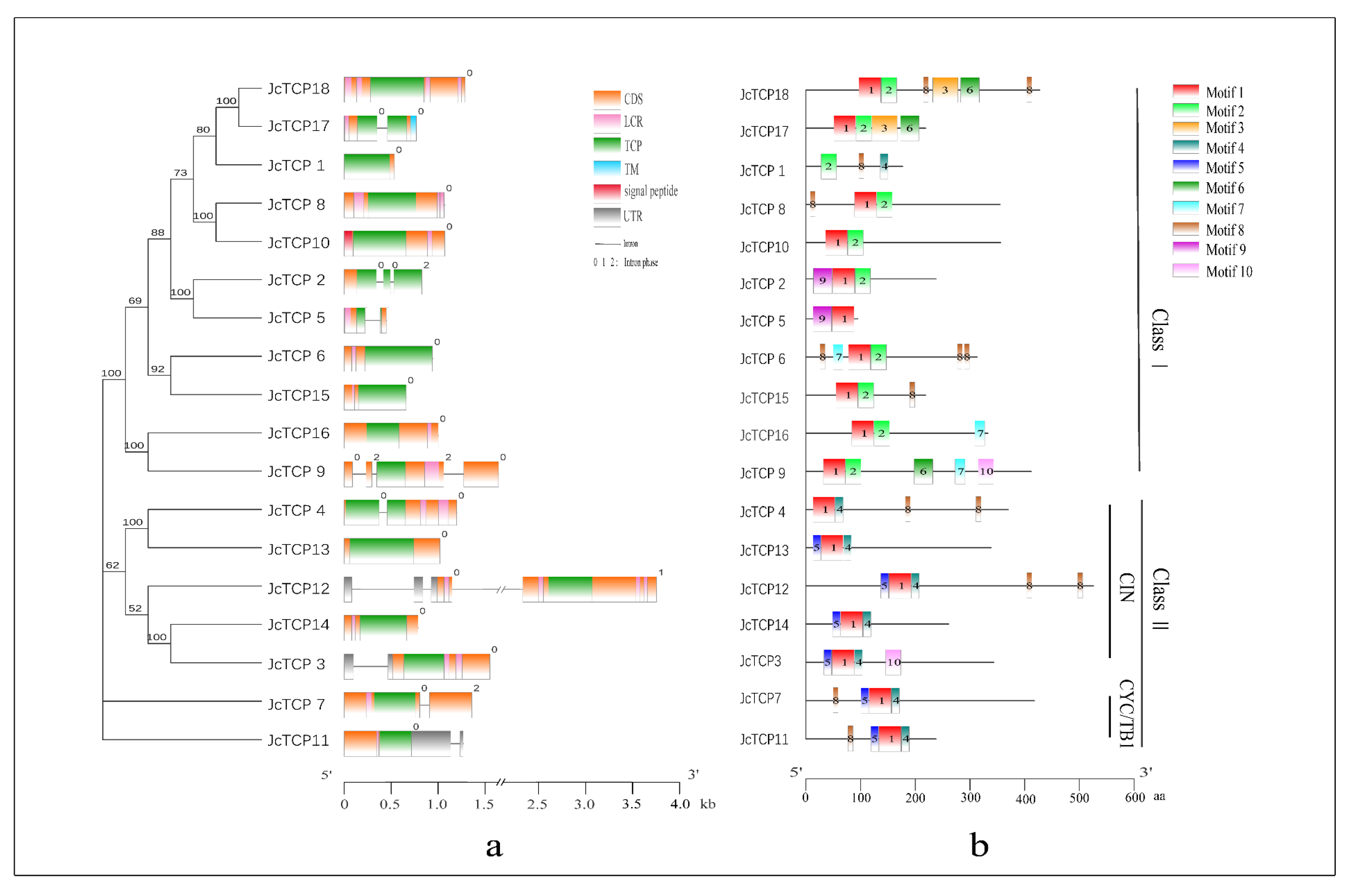 Forests 14 00780 g003