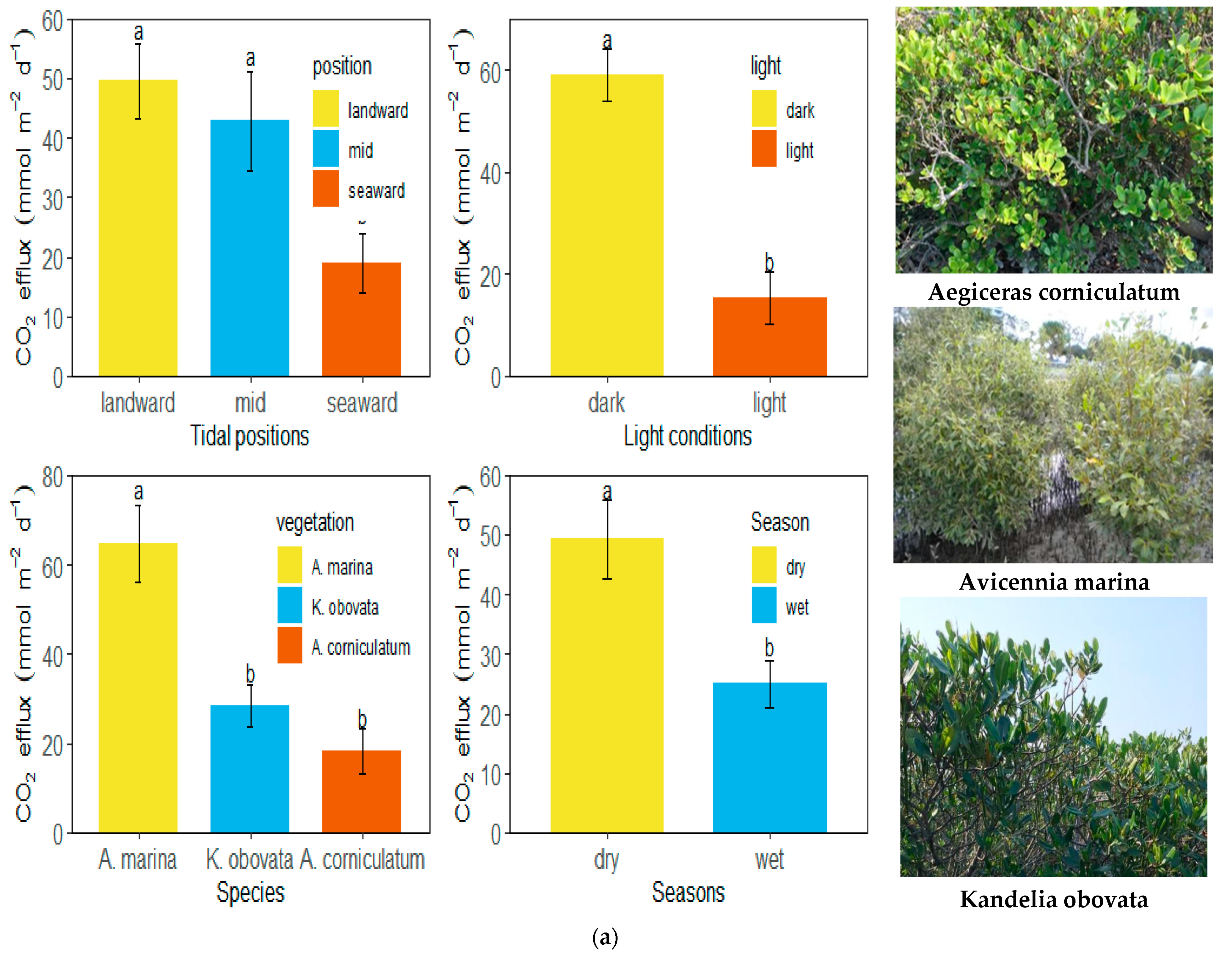 Forests 14 00782 g004a Forests 14 00782 g004a