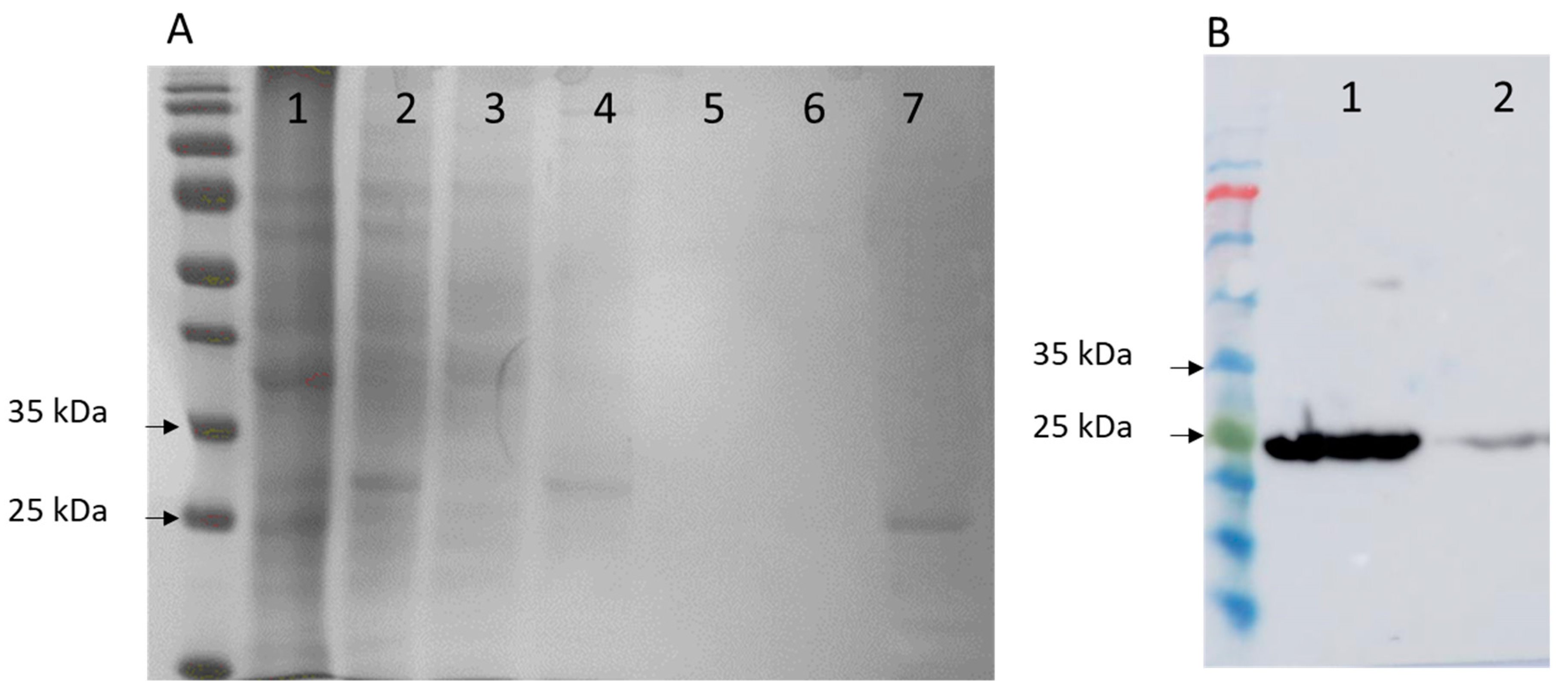 Forests 14 00785 g003