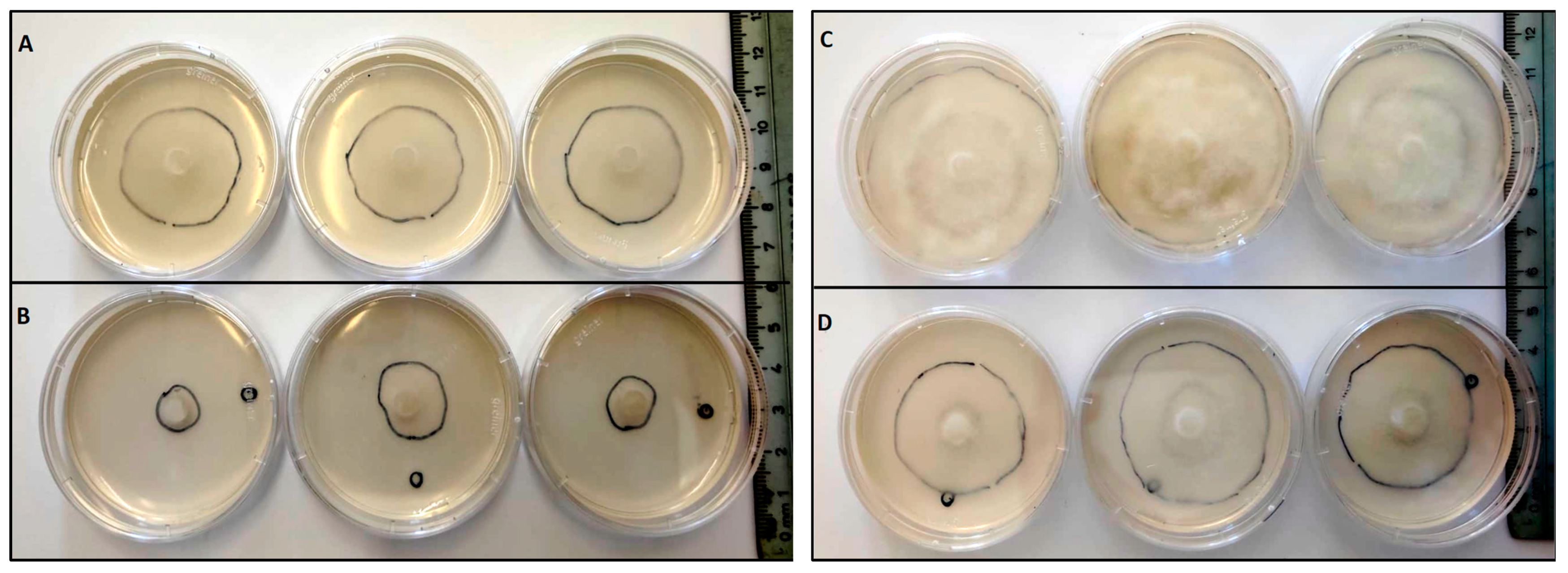 Forests 14 00785 g004