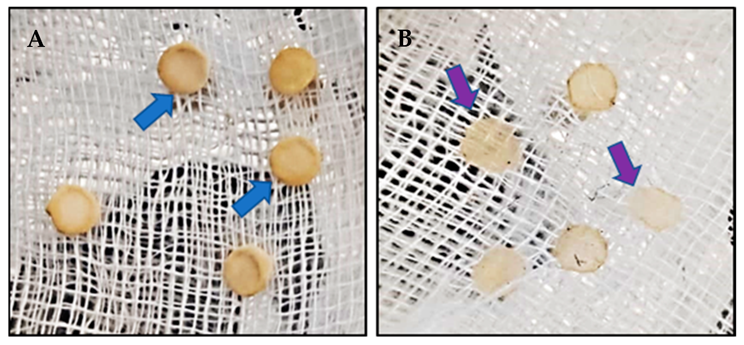 Forests 14 00785 g006