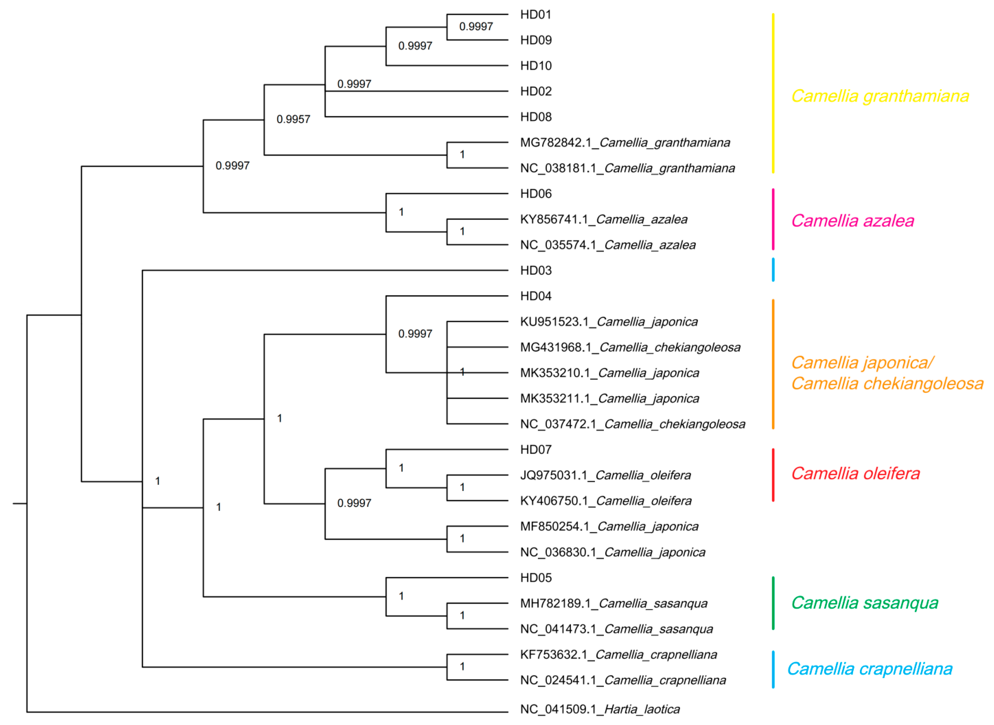 Forests 14 00794 g007 Forests 14 00794 g007