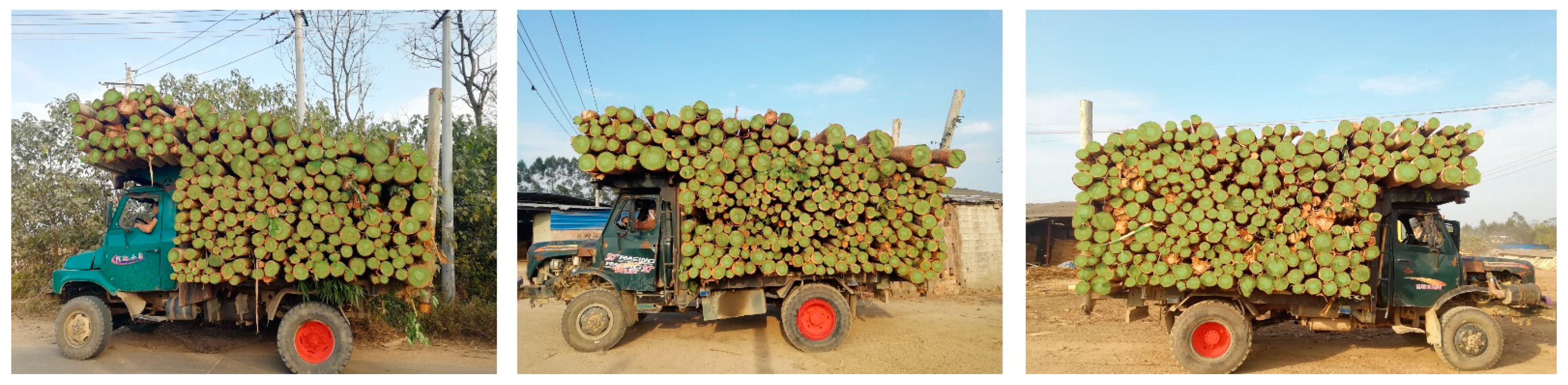 Forests 14 00795 g005 Forests 14 00795 g005