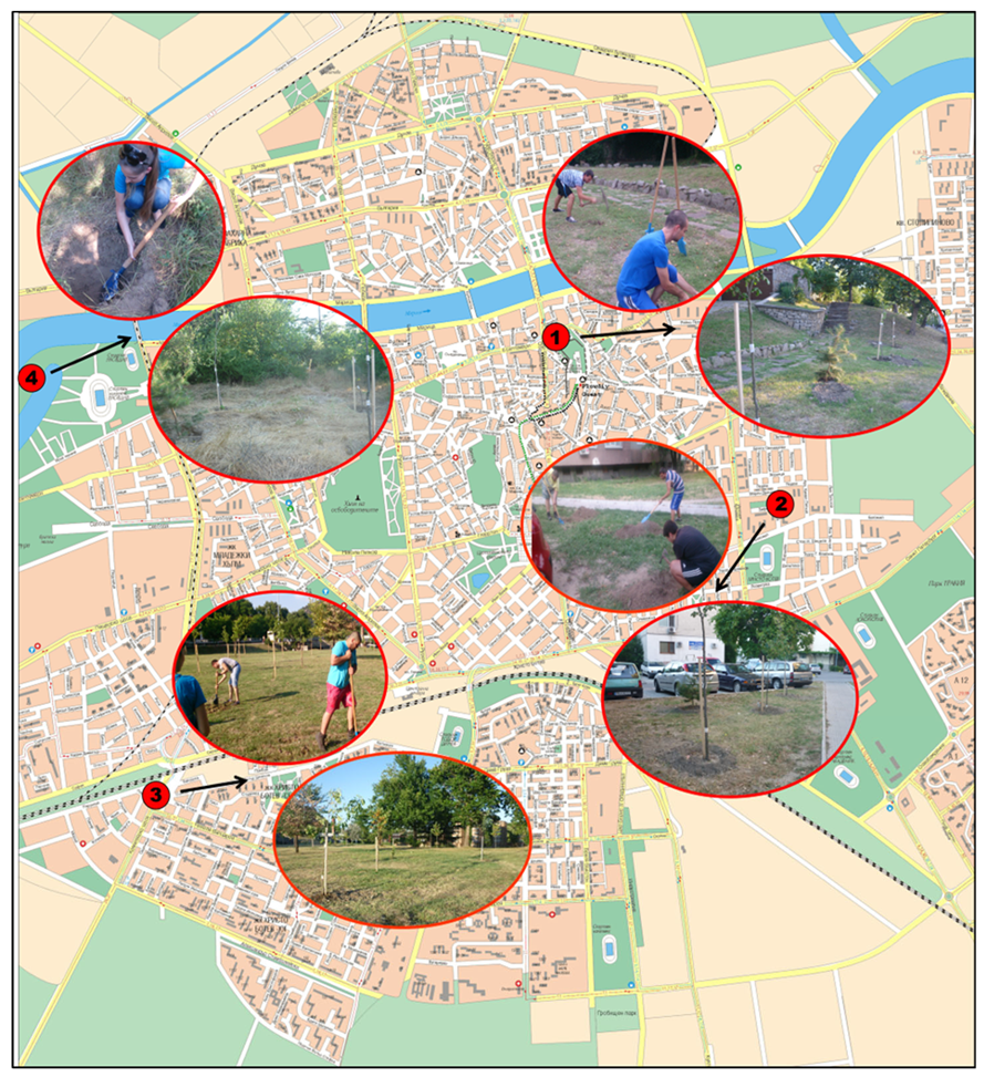 Forests 14 00800 g001