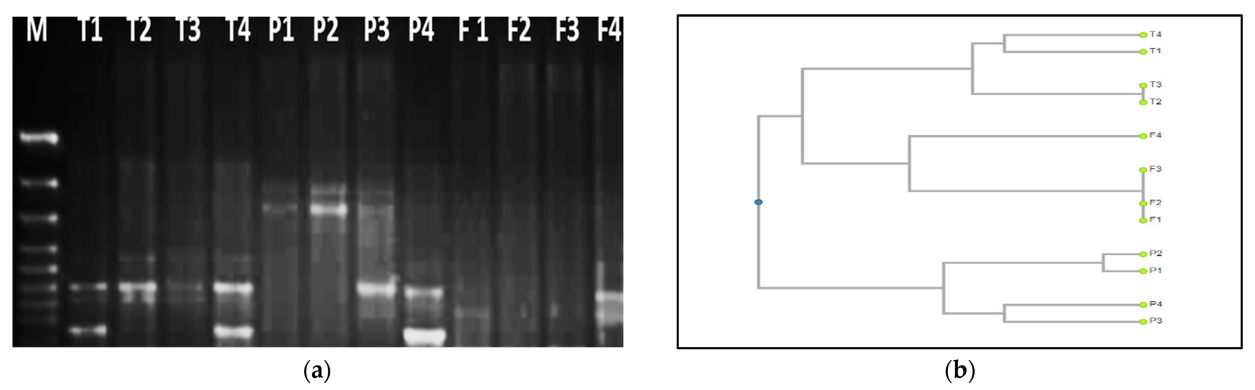 Forests 14 00800 g006