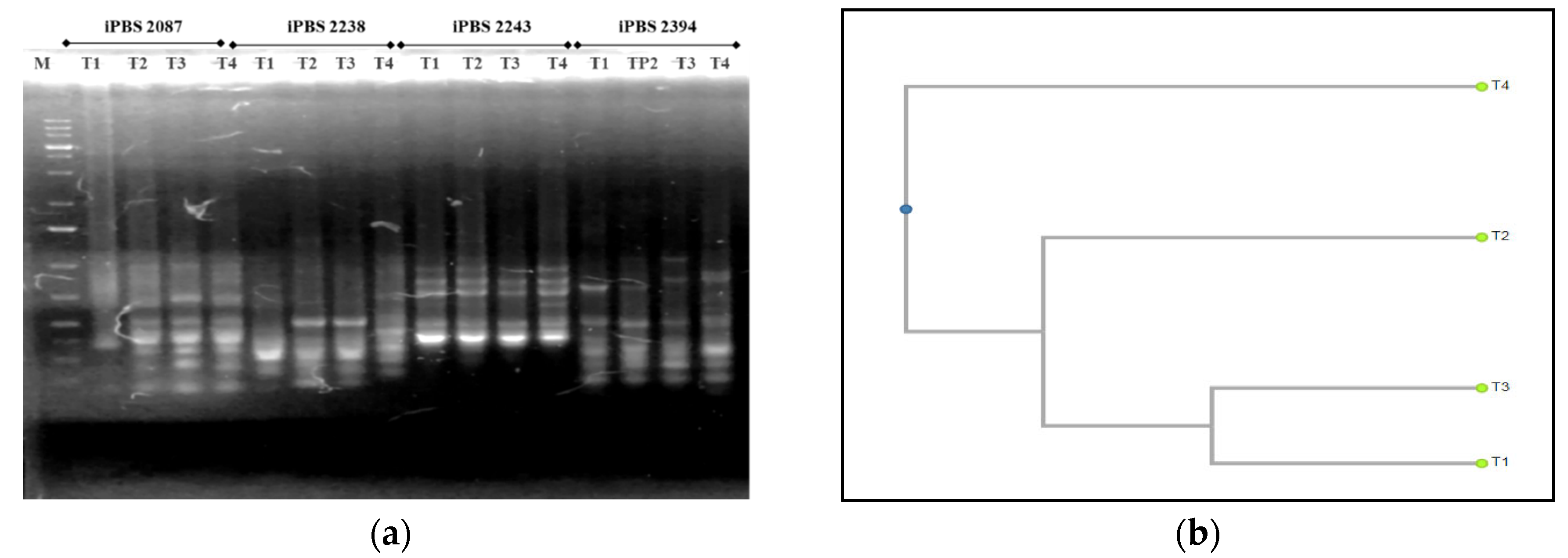 Forests 14 00800 g007