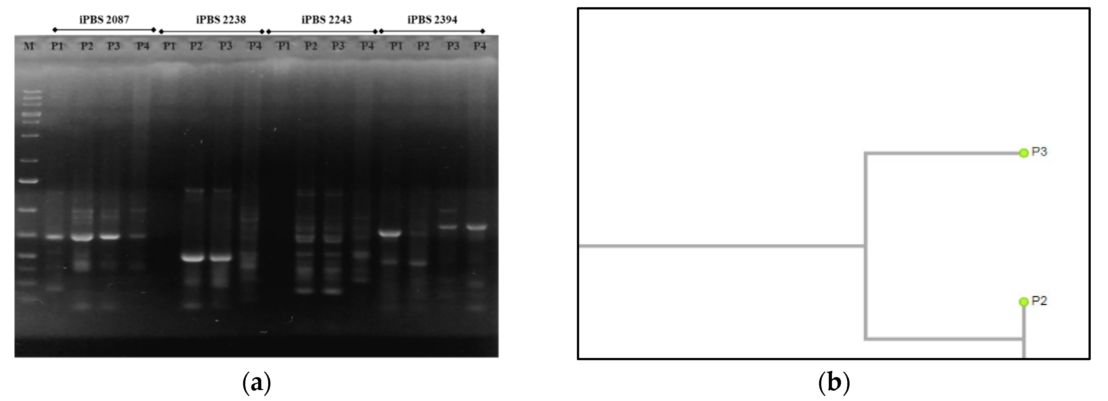 Forests 14 00800 g008