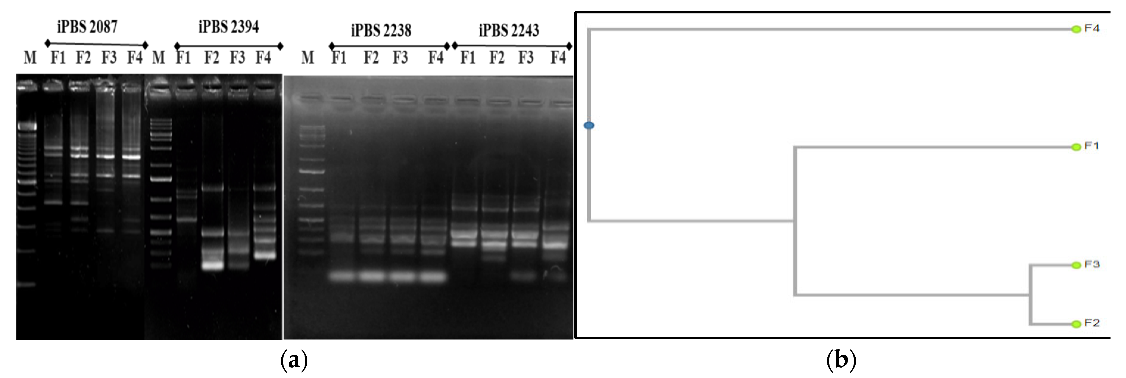 Forests 14 00800 g009