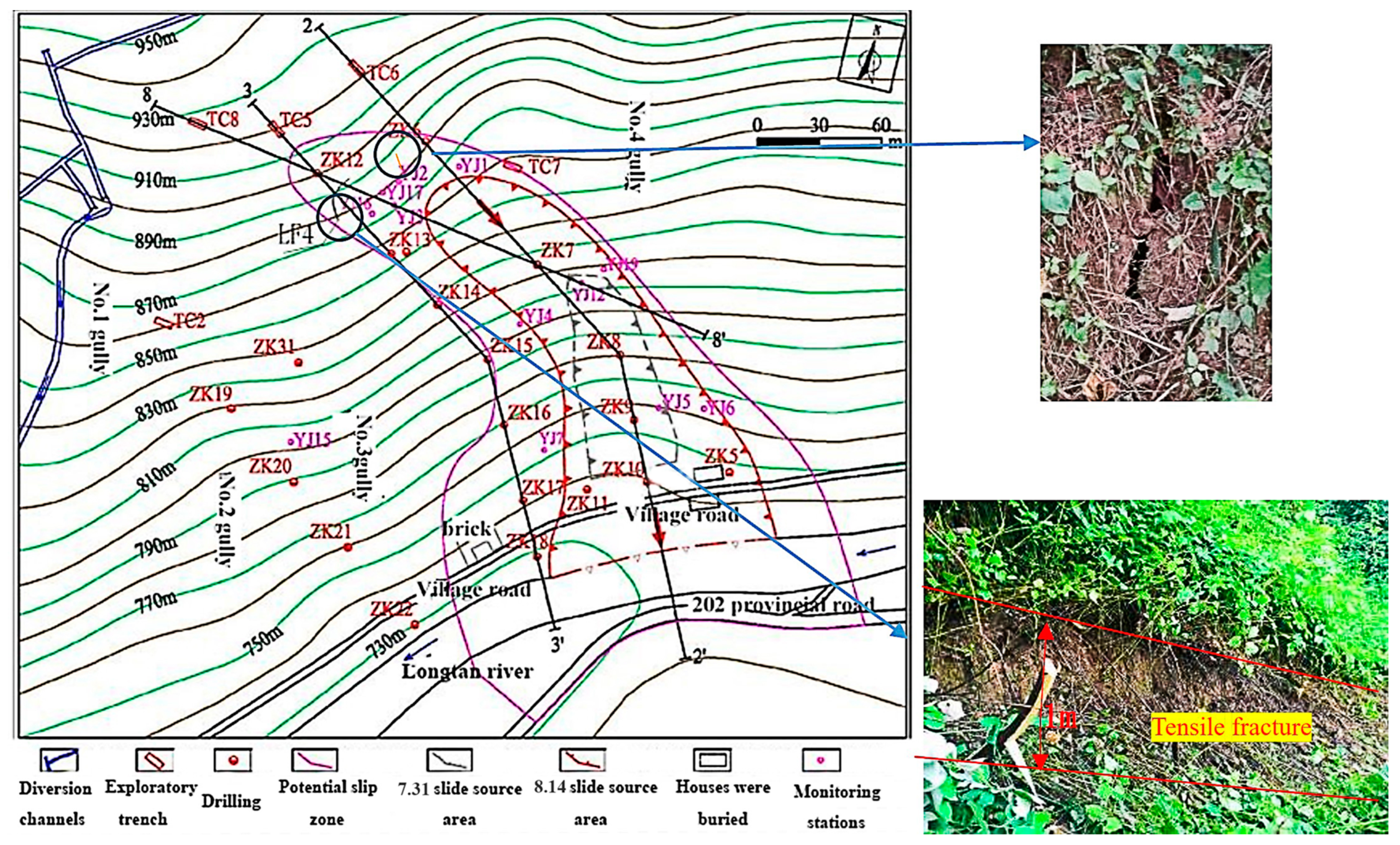 Forests 14 00808 g004 Forests 14 00808 g004