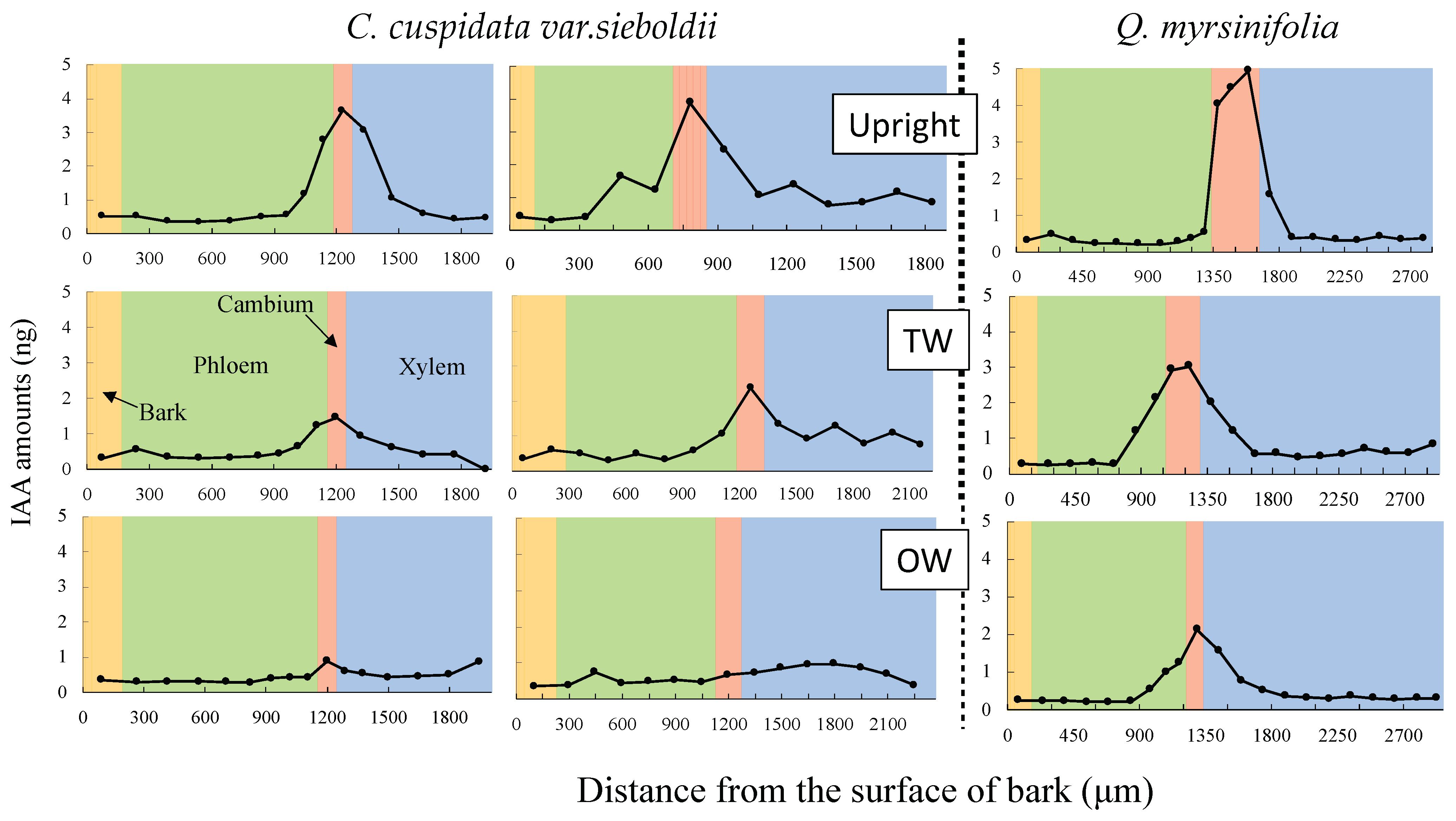 Forests 14 00813 g003 Forests 14 00813 g003