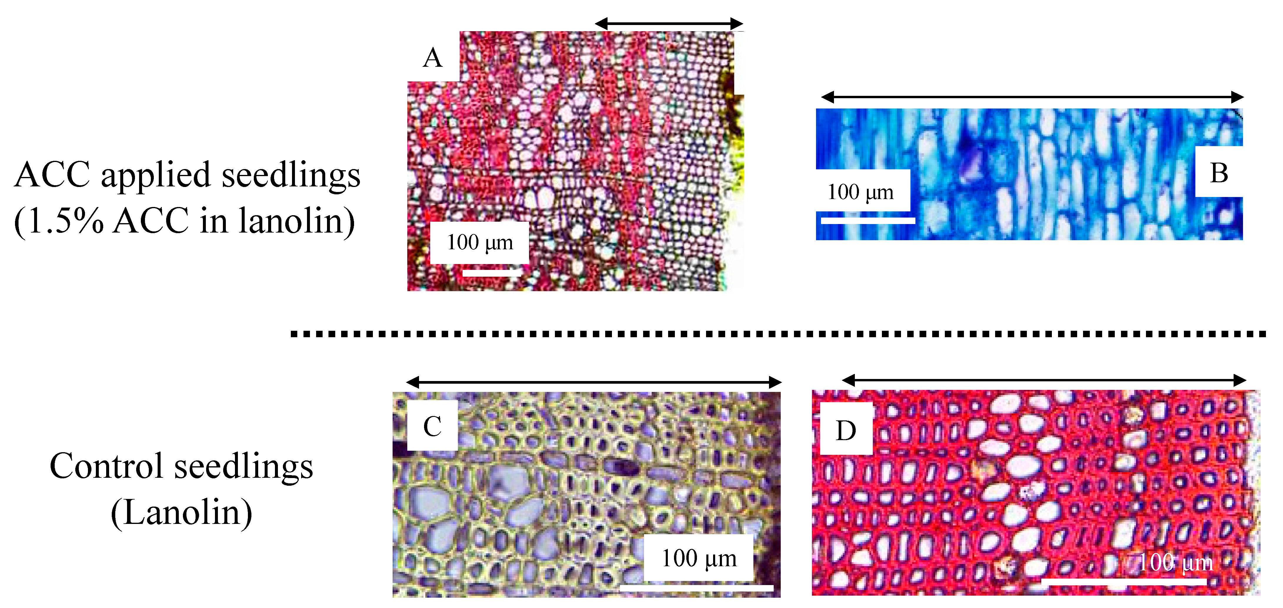 Forests 14 00813 g004 Forests 14 00813 g004