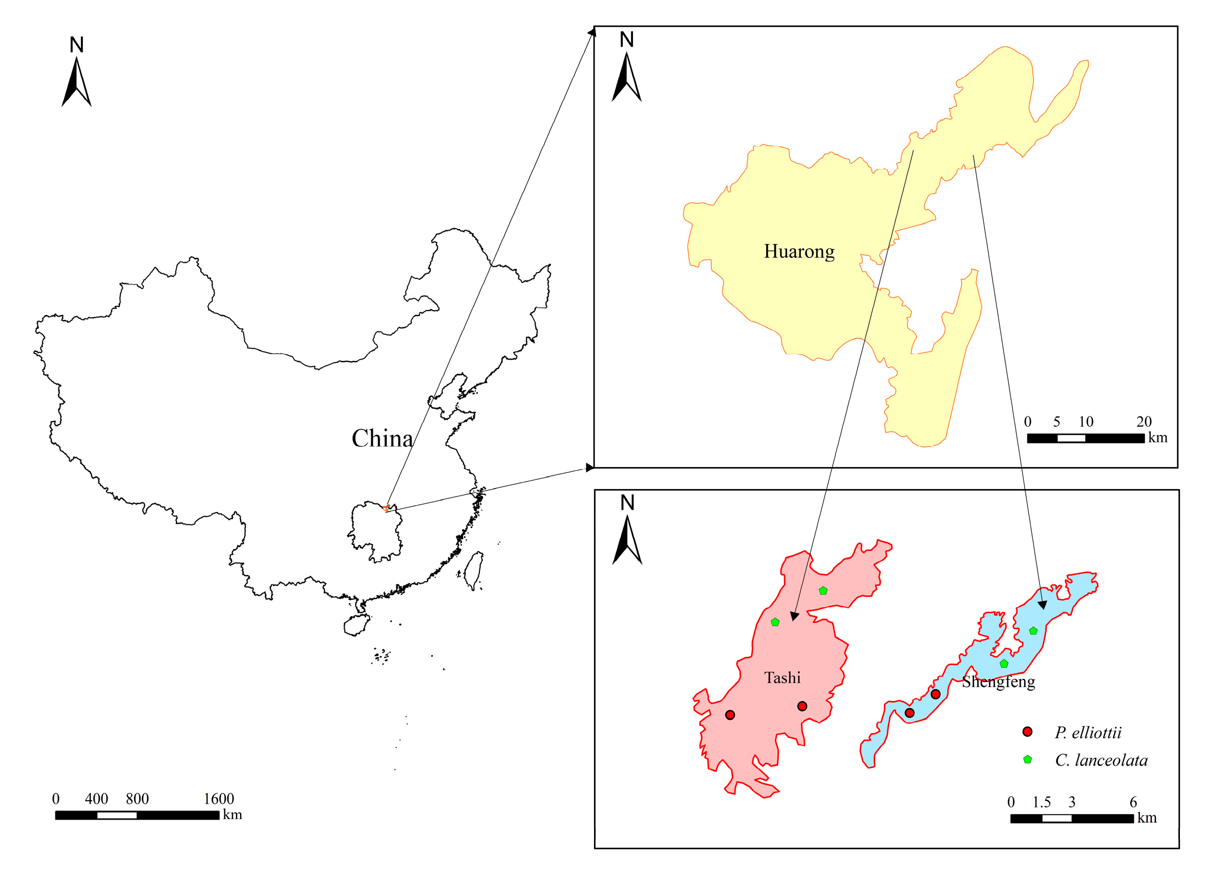Forests 14 00814 g001